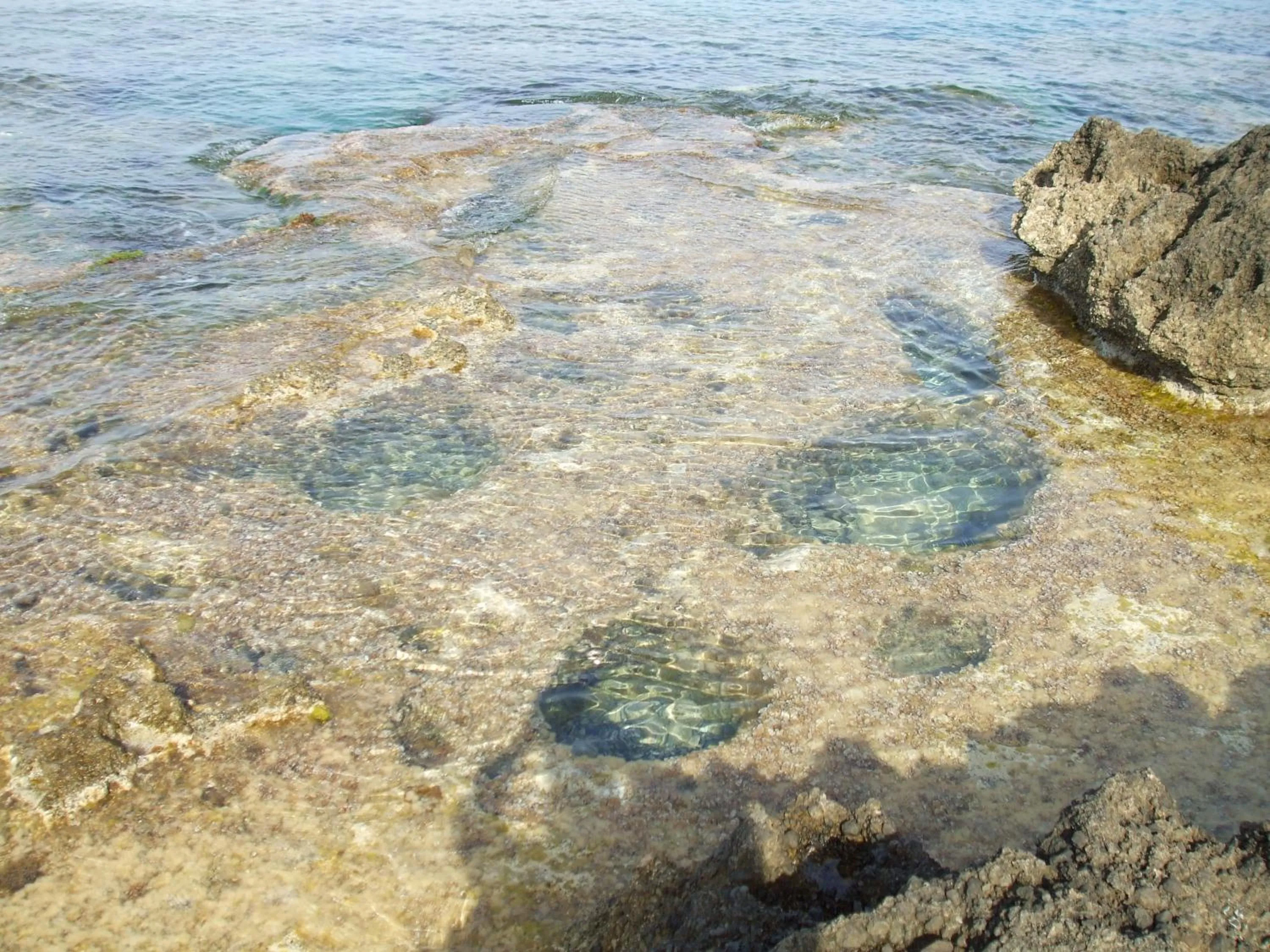 Natural landscape in Hotel Murmann