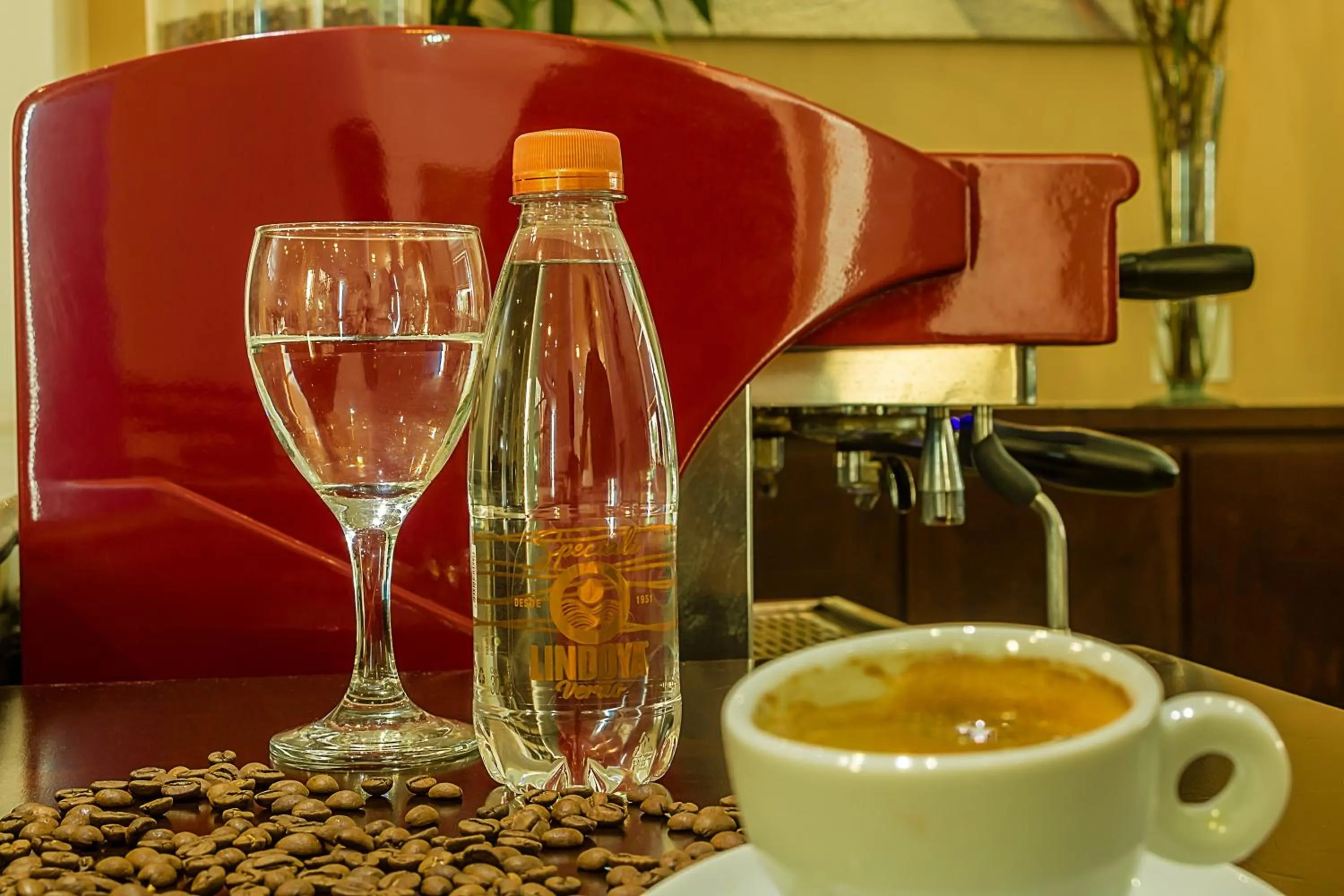 Drinks in Hotel Shelton