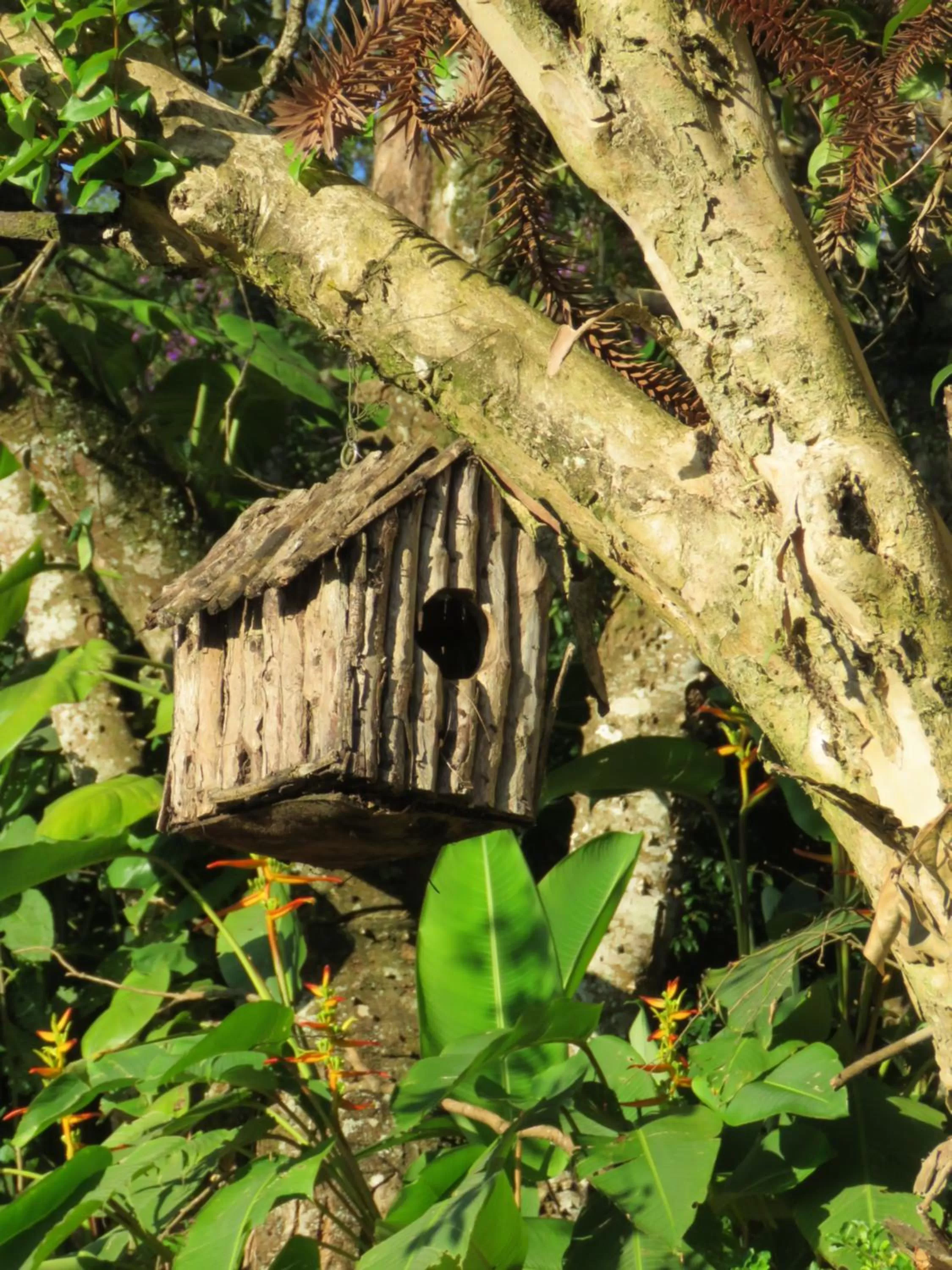 Lagoa Seca Hotel Rural