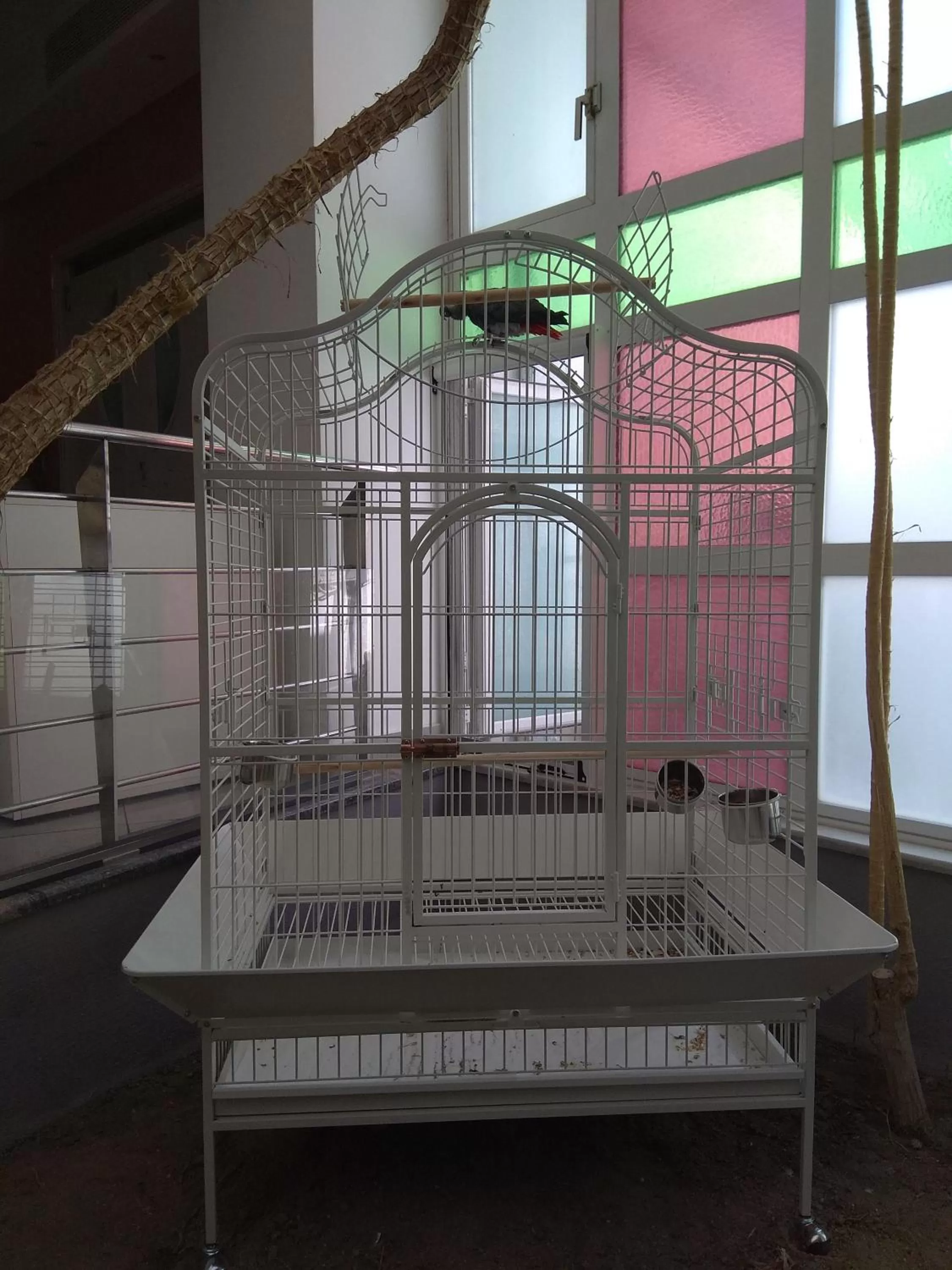 Pets, Bed in Maritina Hotel