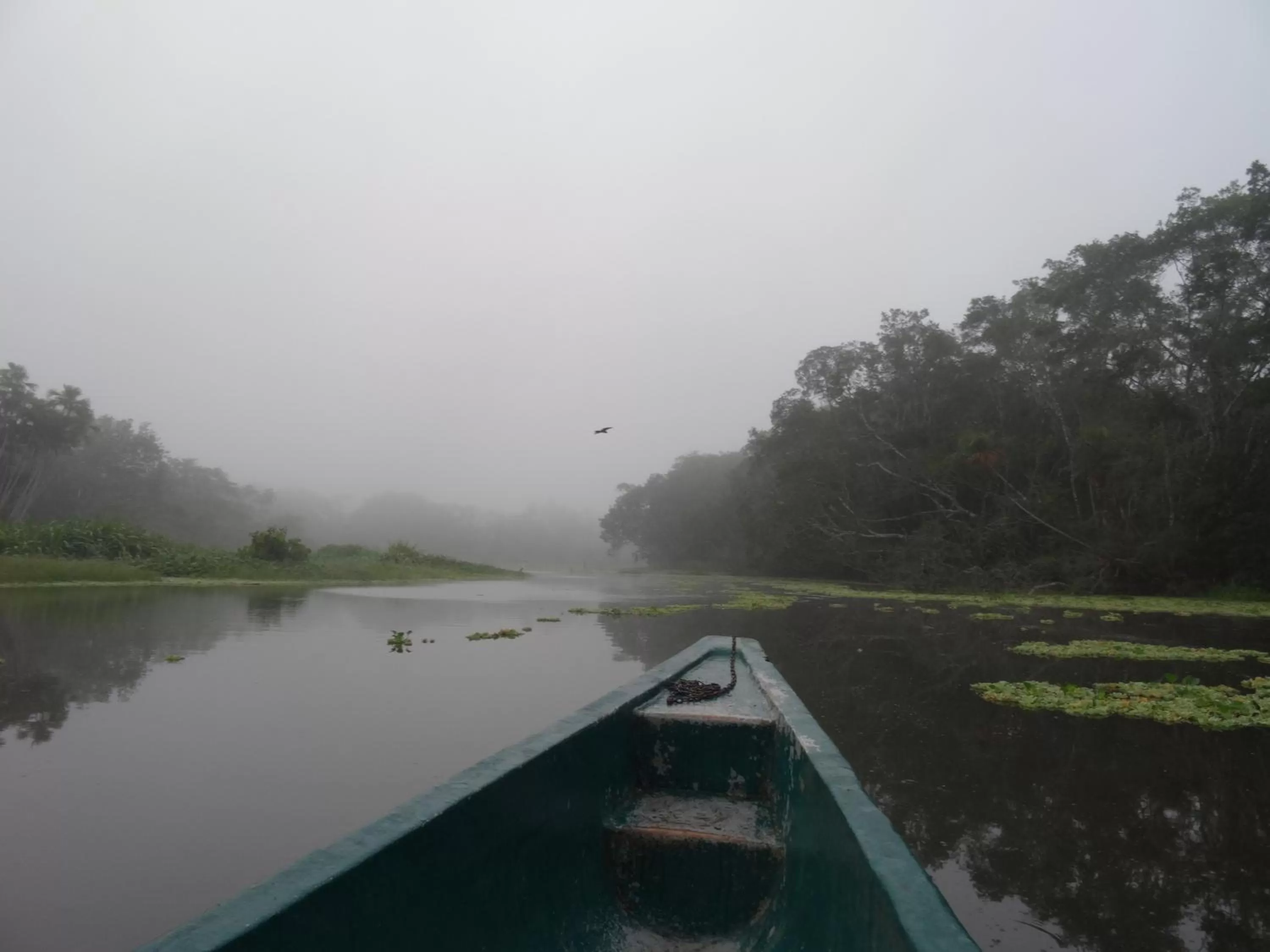 Lake view in Hostal Limoncocha