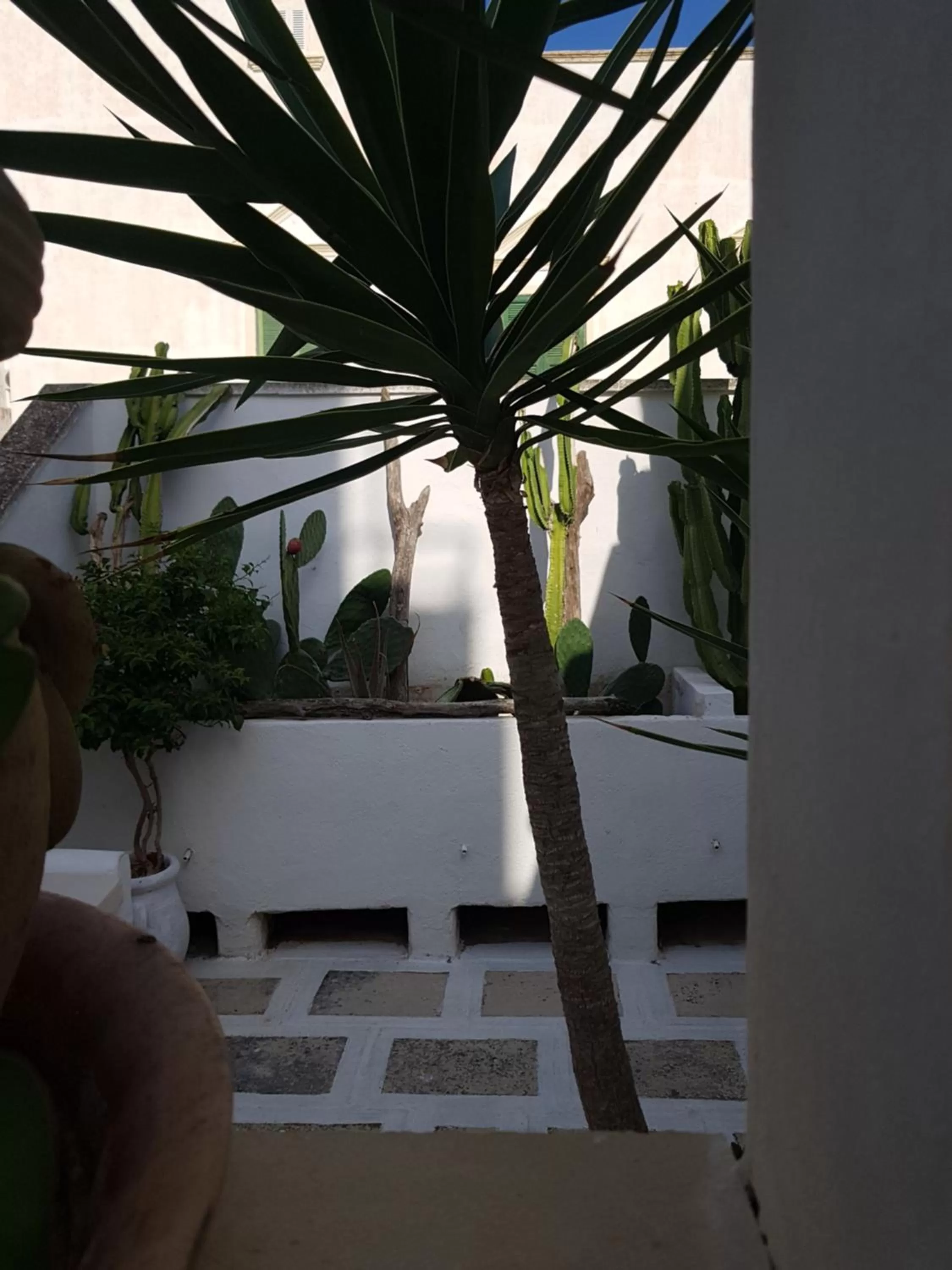 Patio in Corte Moline