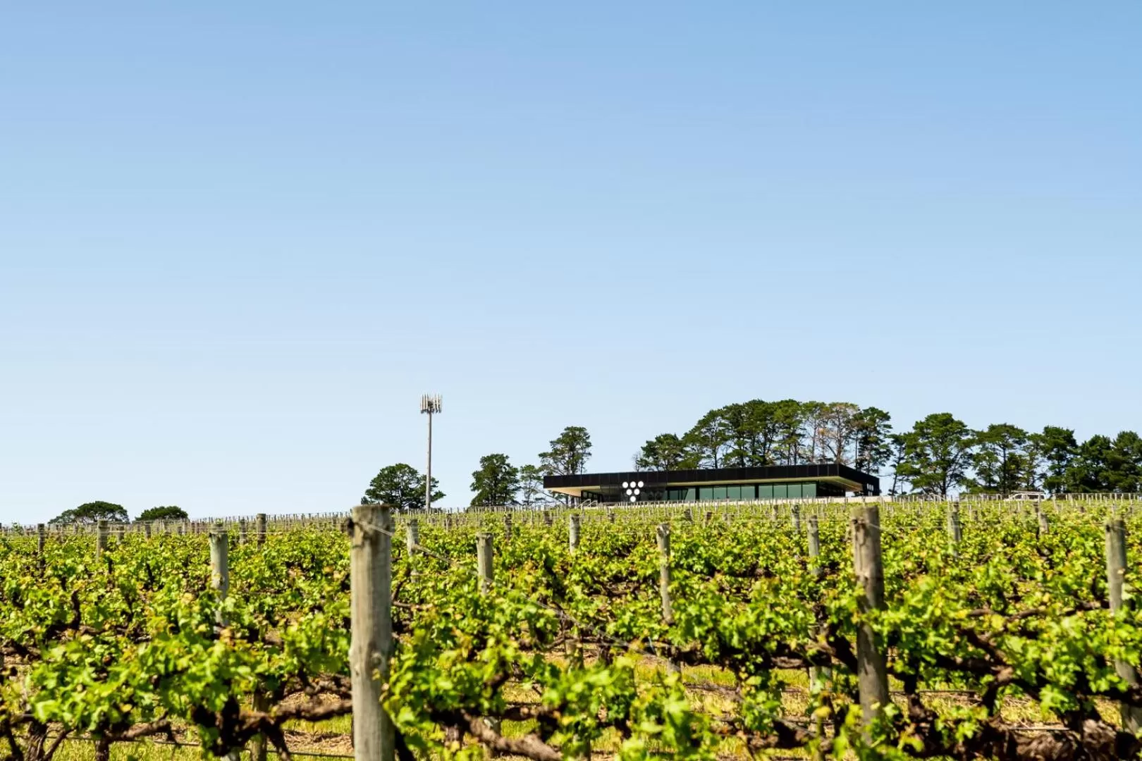 Restaurant/places to eat in Beresford Estate