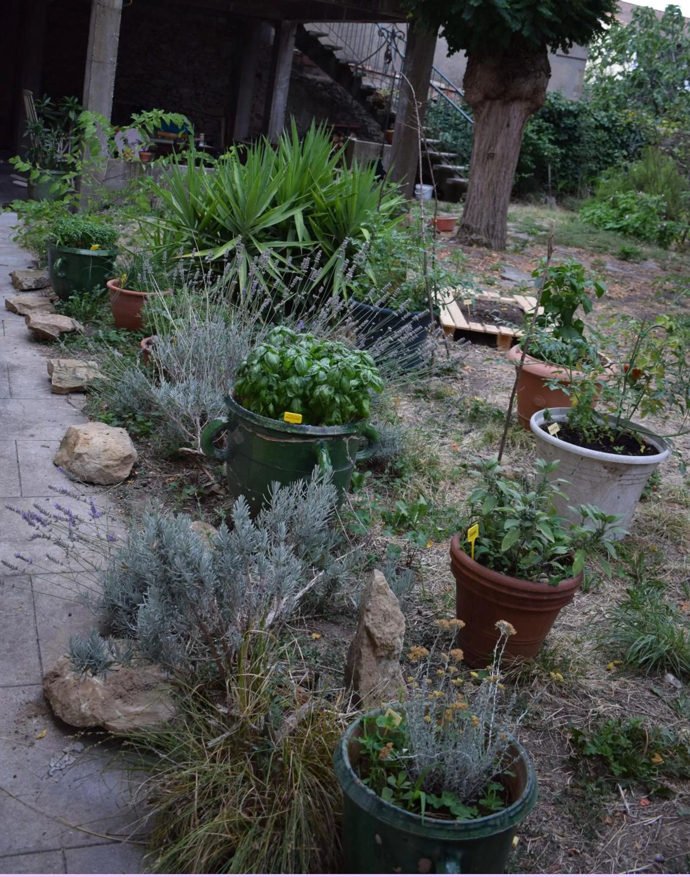 Garden in Art Home BnB