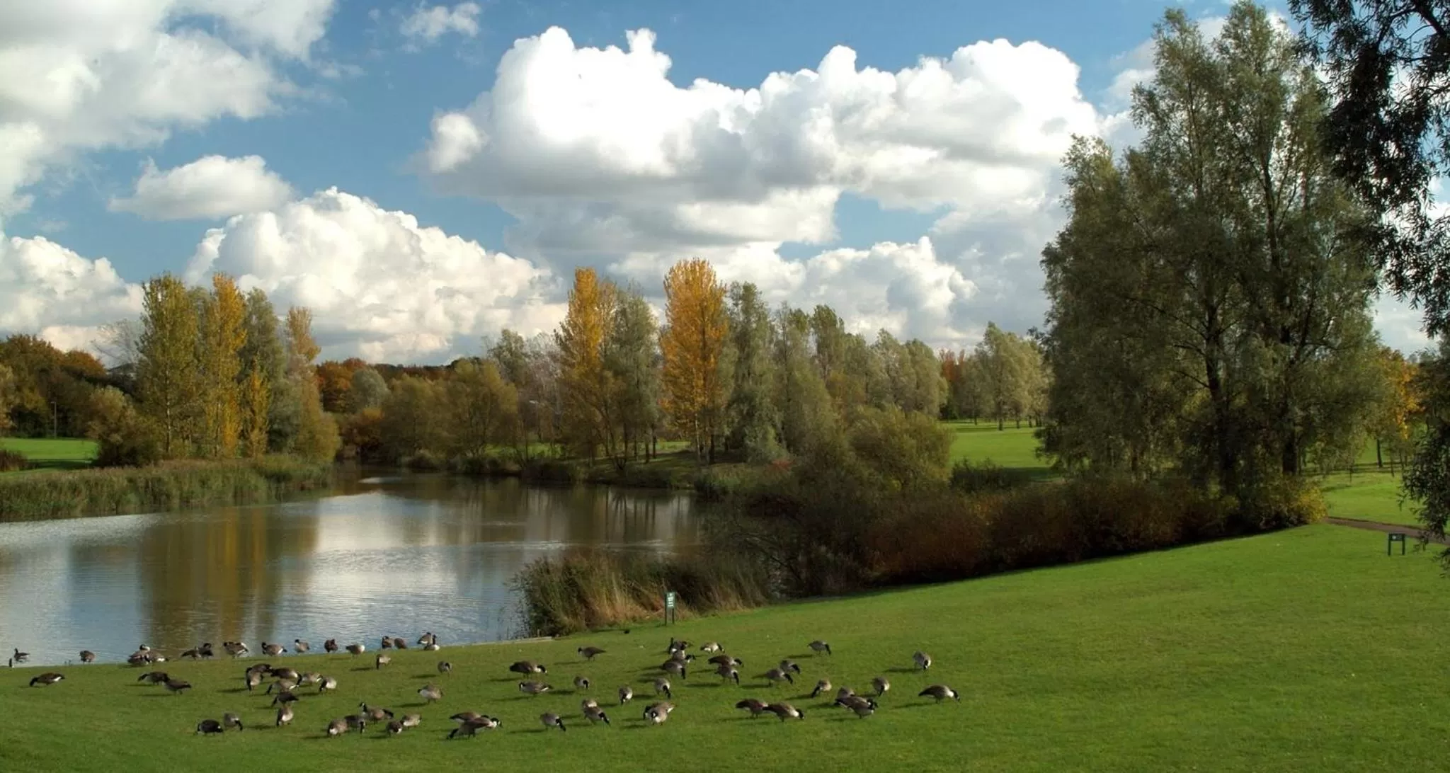 Natural landscape in National Badminton Centre Lodge & Health Club