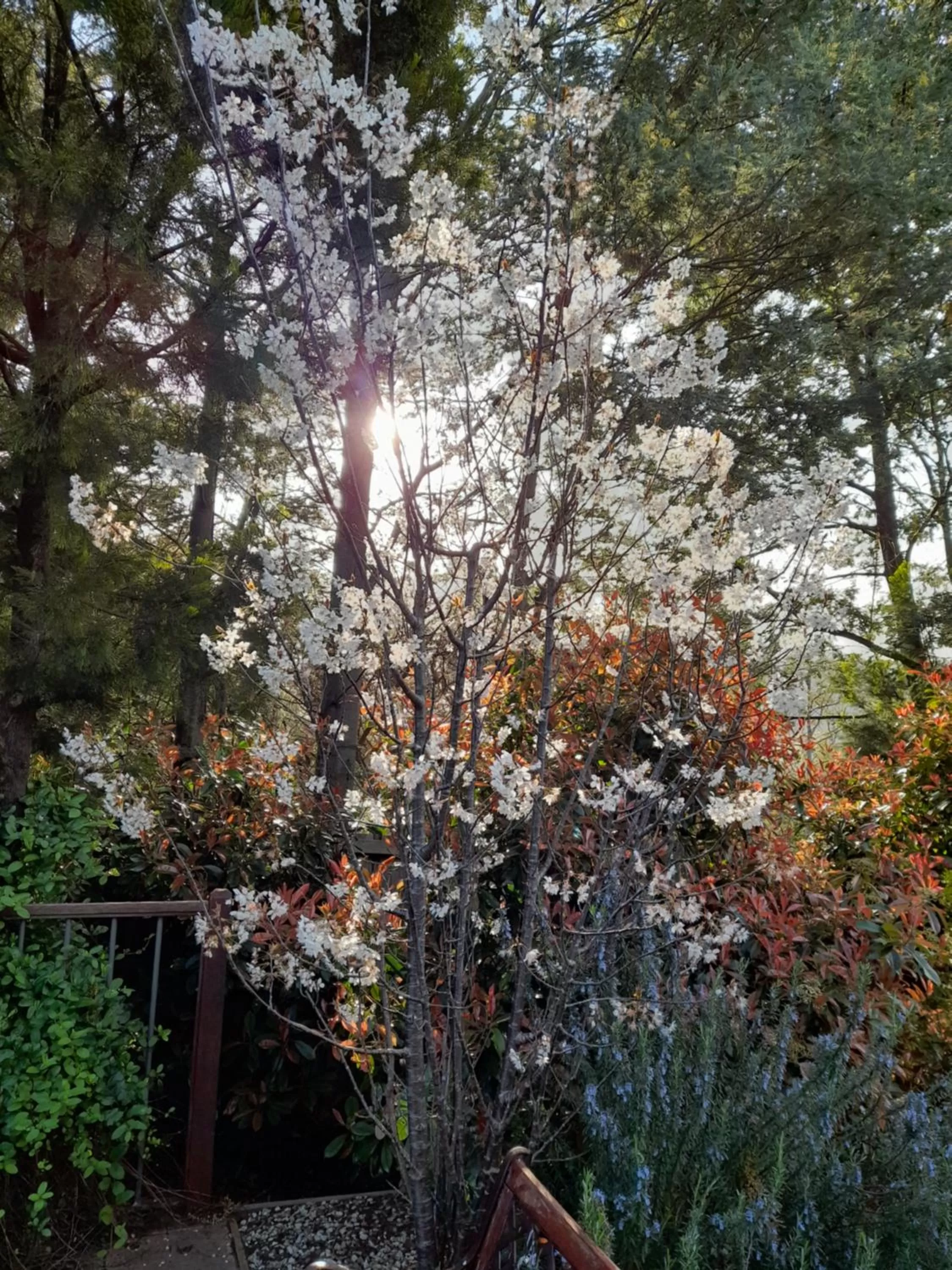 Hillside Bed and Breakfast