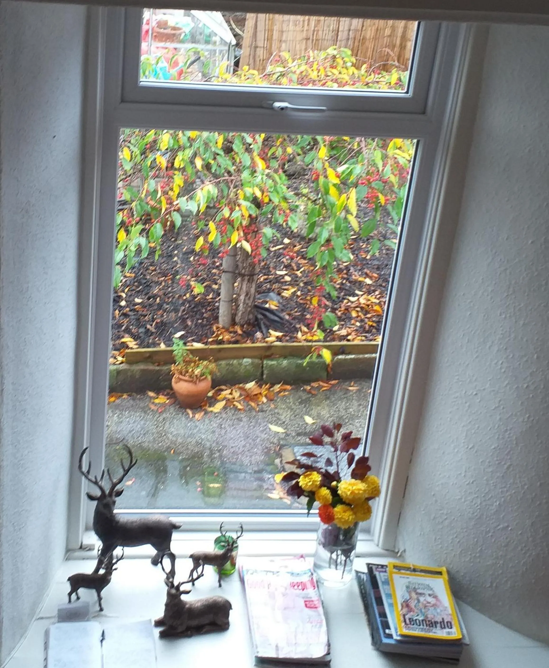 The White House Guest House