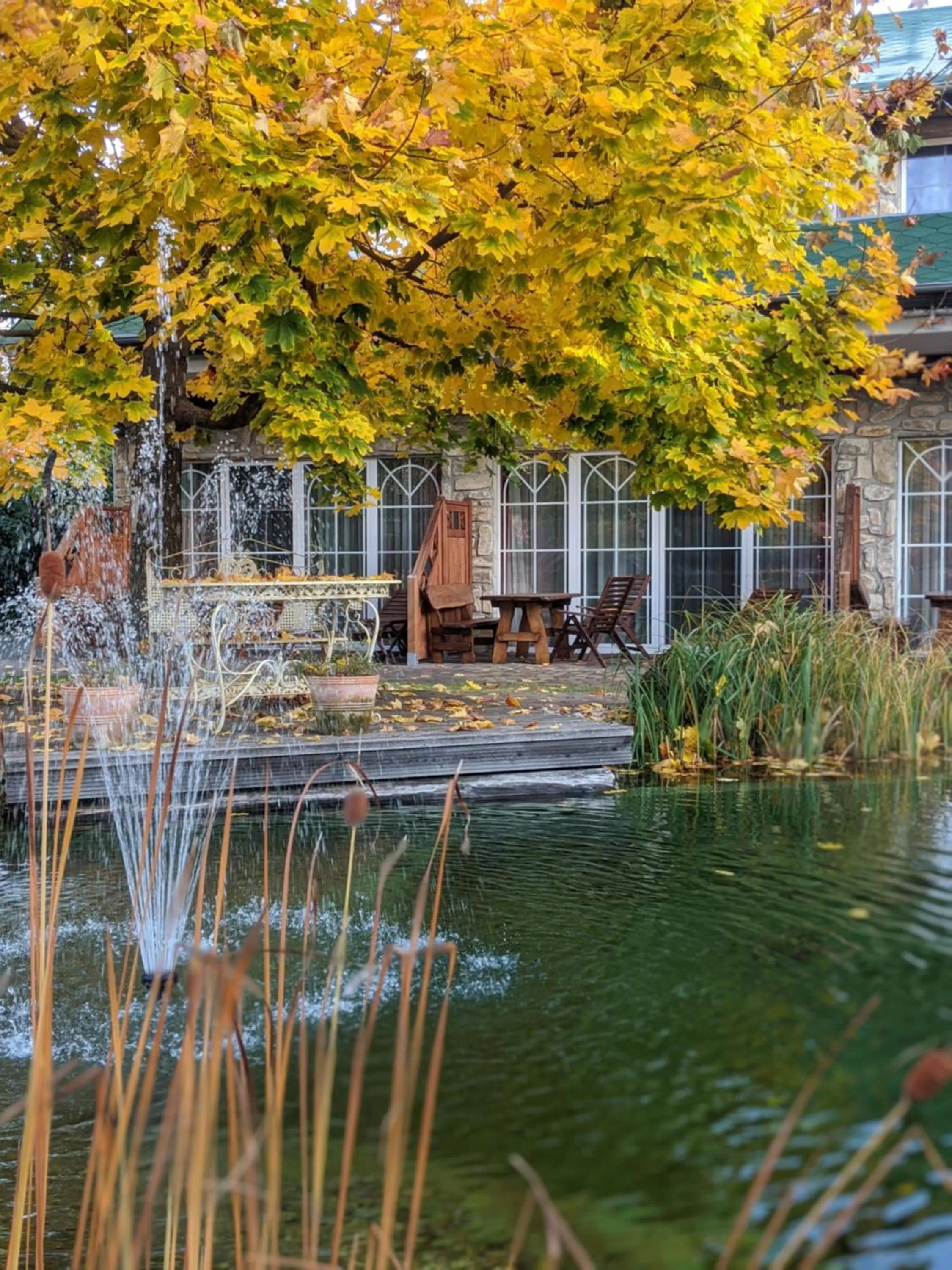 Property building in Wellnesshotel Seeschlößchen - Privat- Spa & Naturresort