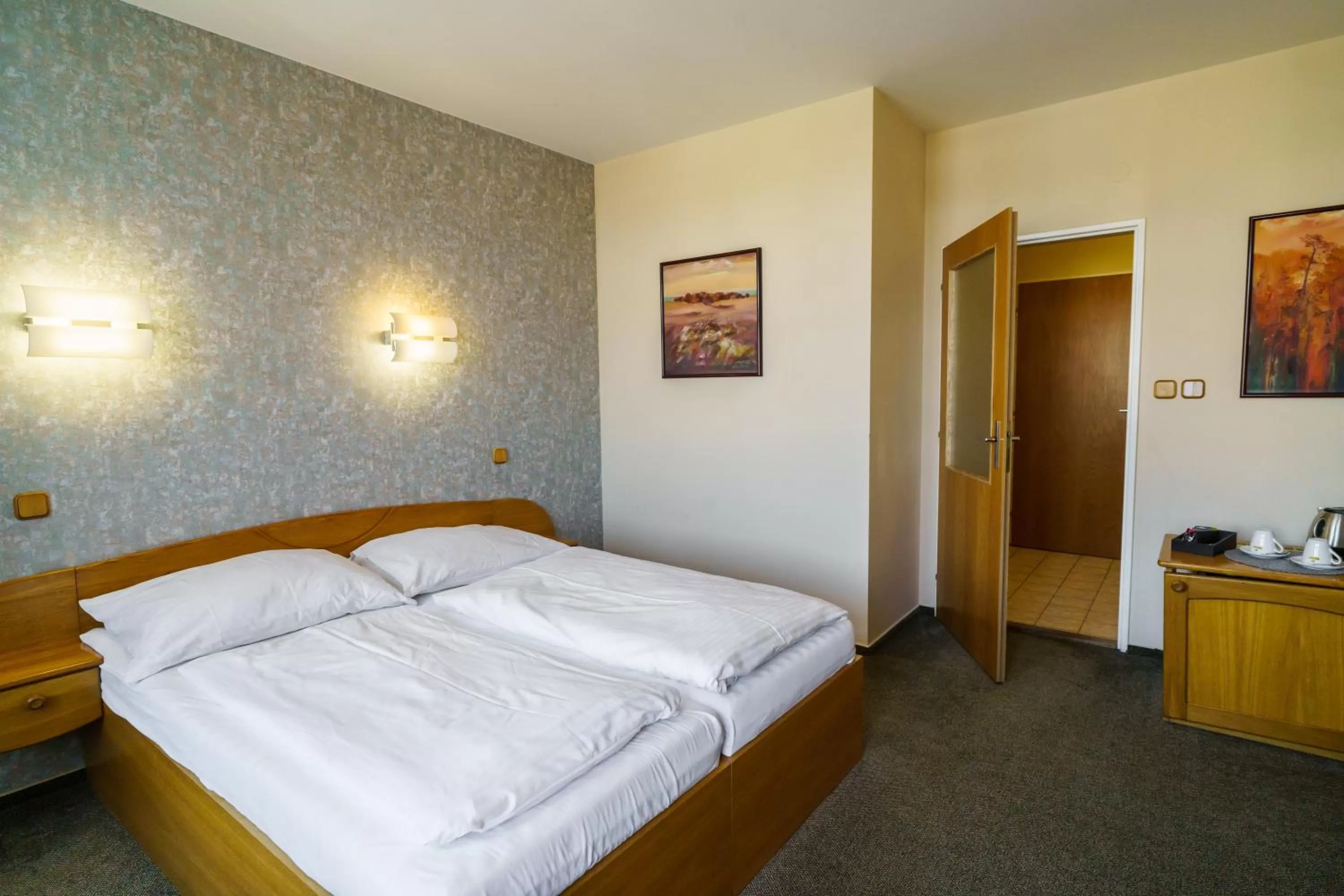 Standard Double Room in Hotel U Labutě