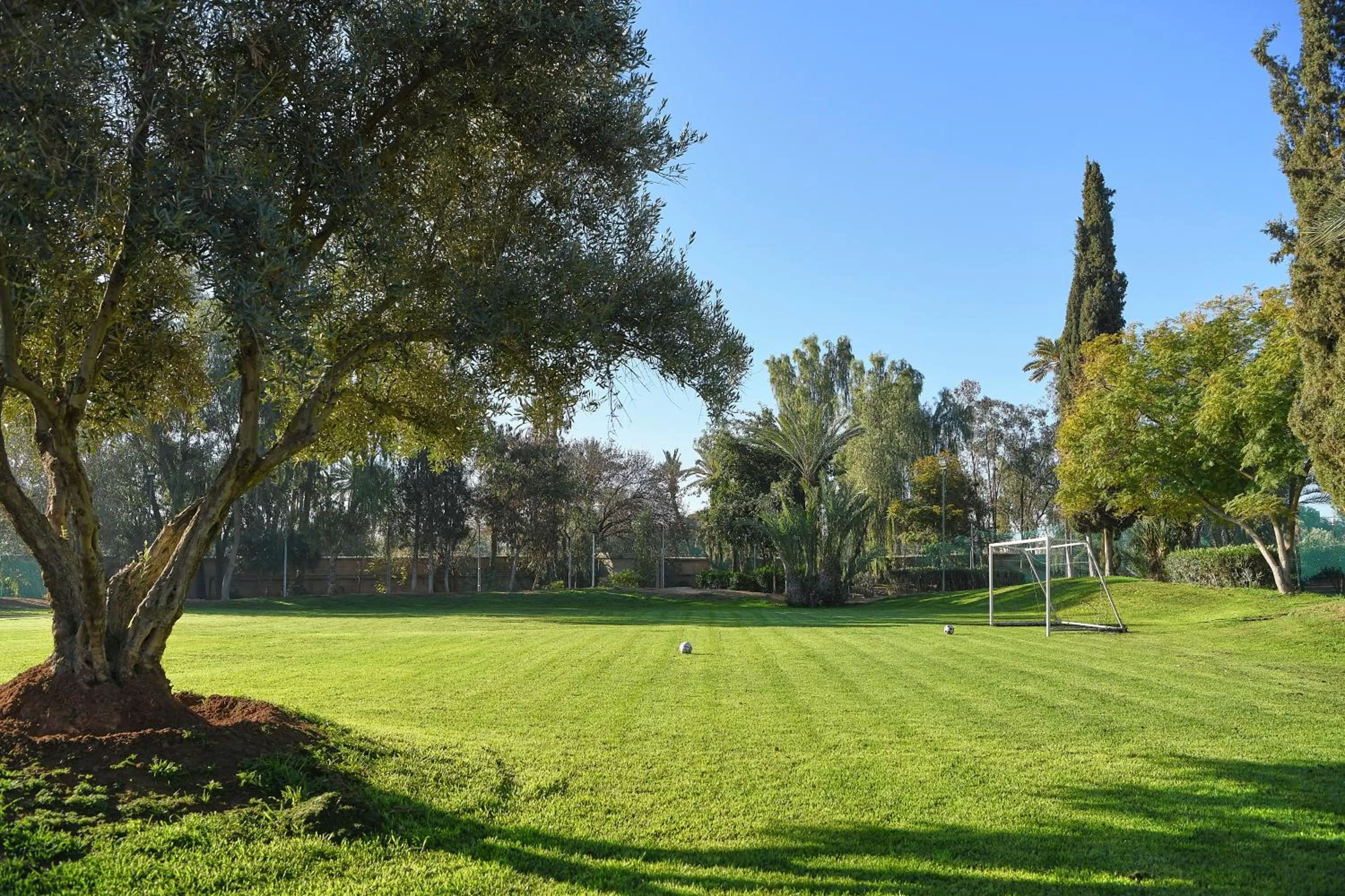 Activities in Iberostar Waves Club Palmeraie Marrakech All Inclusive