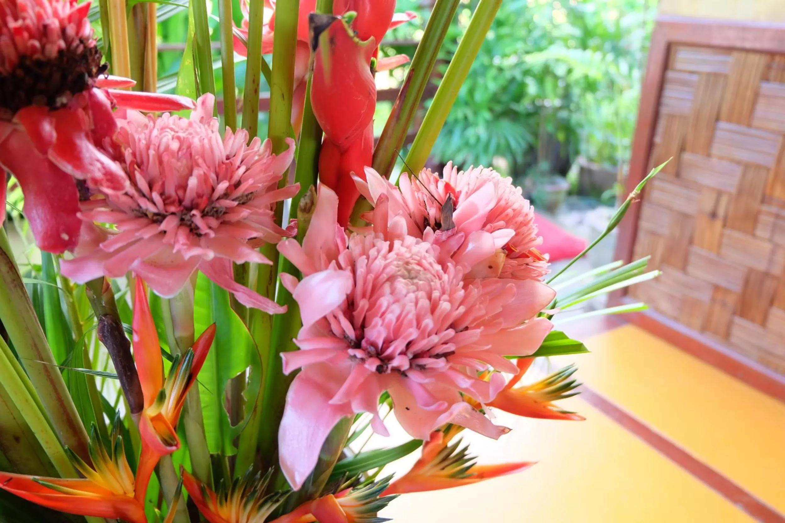 Lobby or reception in Pura Vida Pai Resort