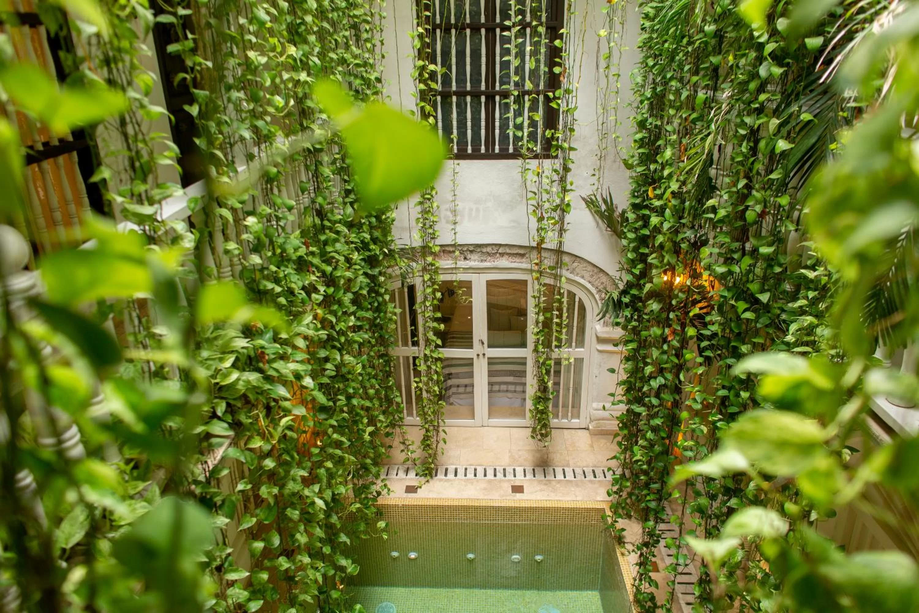 Garden in Leones de Alba Hotel Boutique