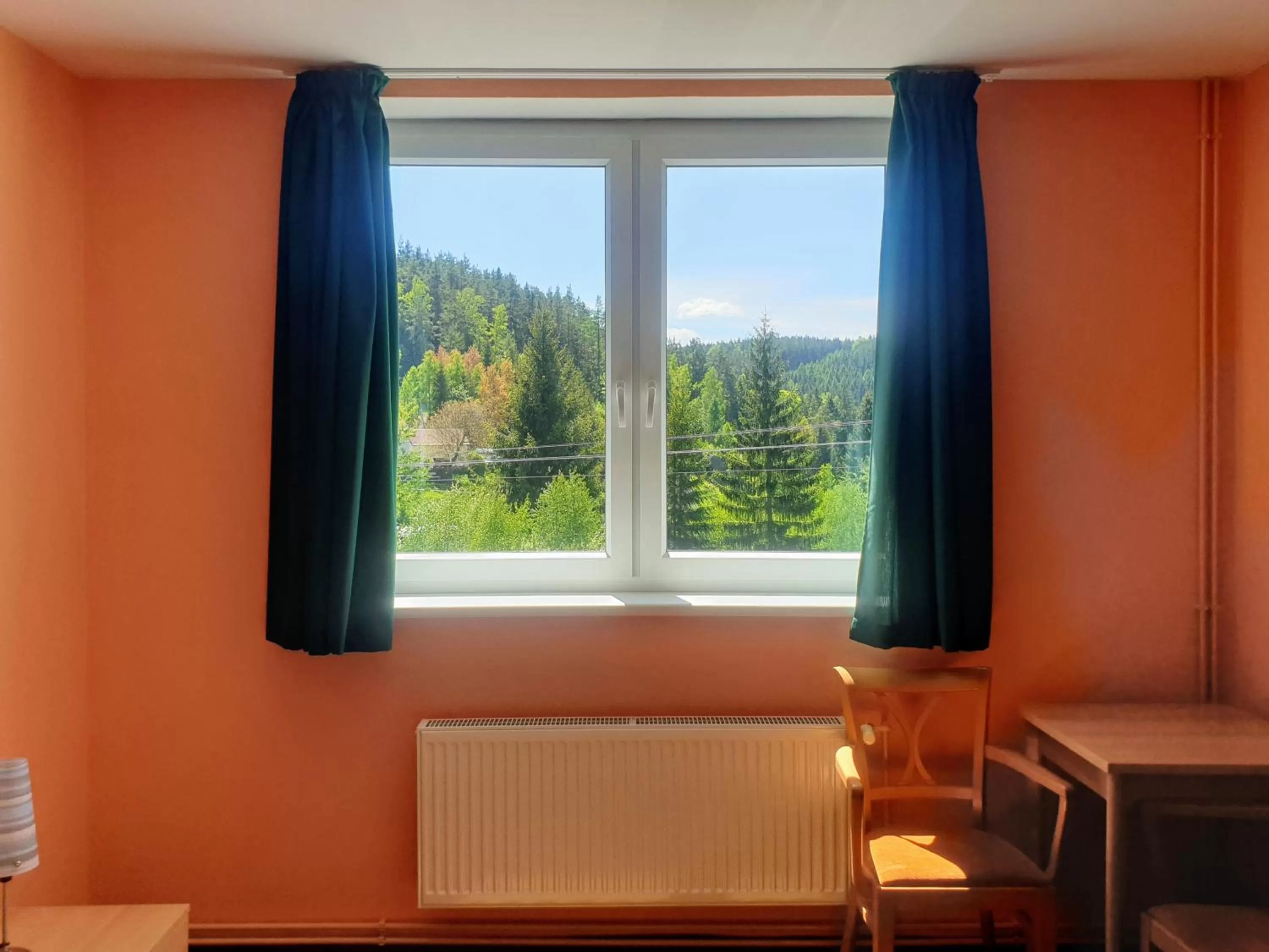 View (from property/room) in Penzion Lumis