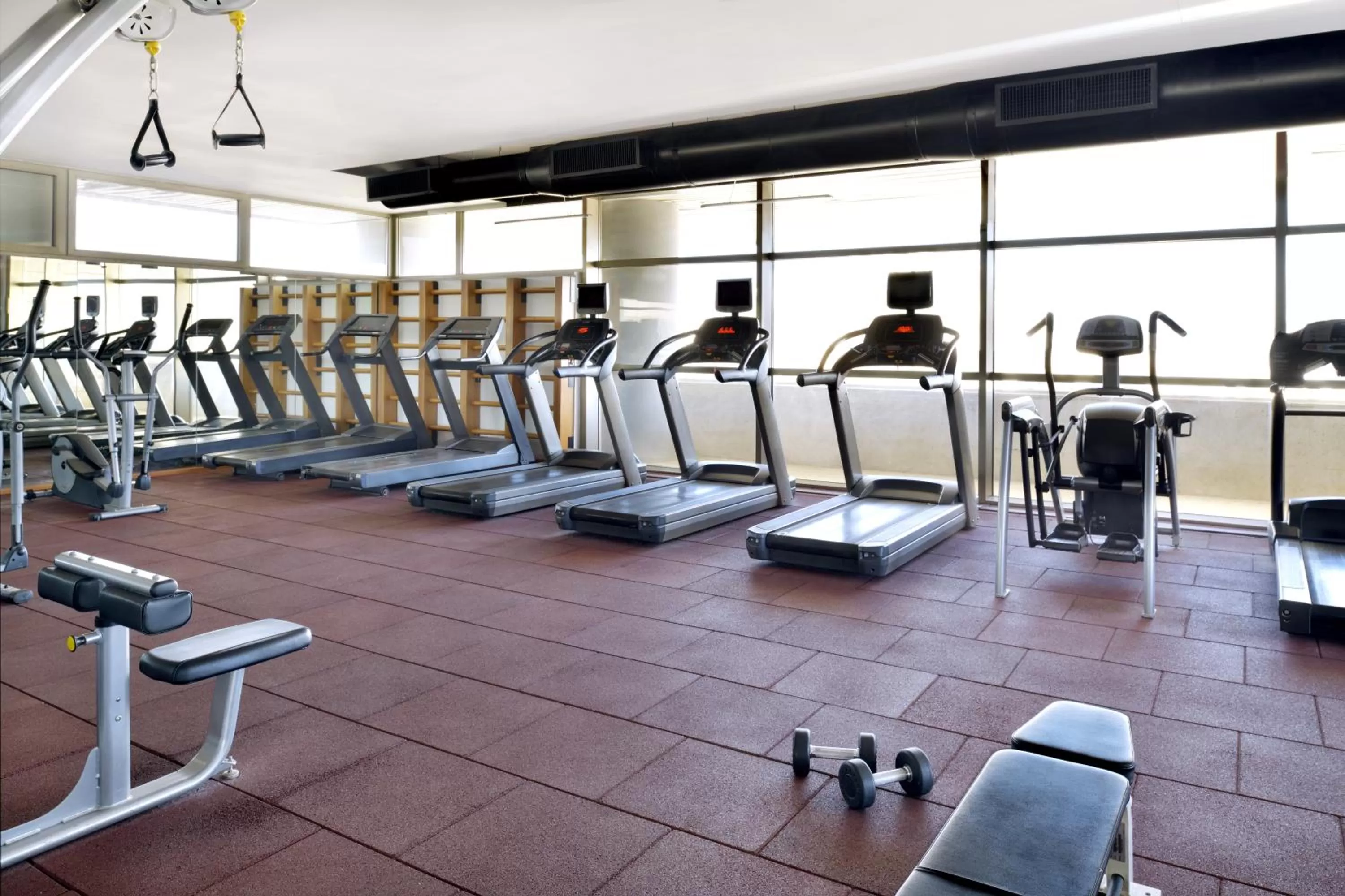 Fitness centre/facilities in Mövenpick Hotel Amman