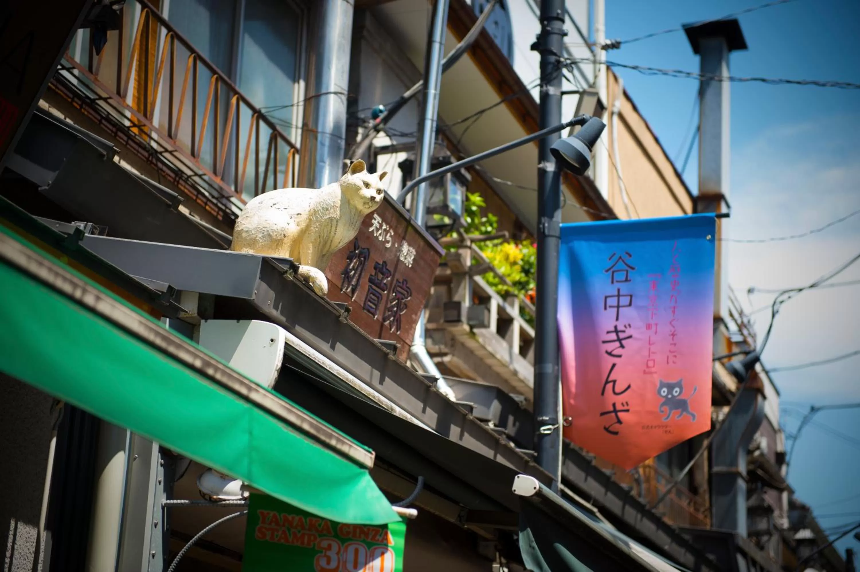 Activities in Candeo Hotels Ueno Park