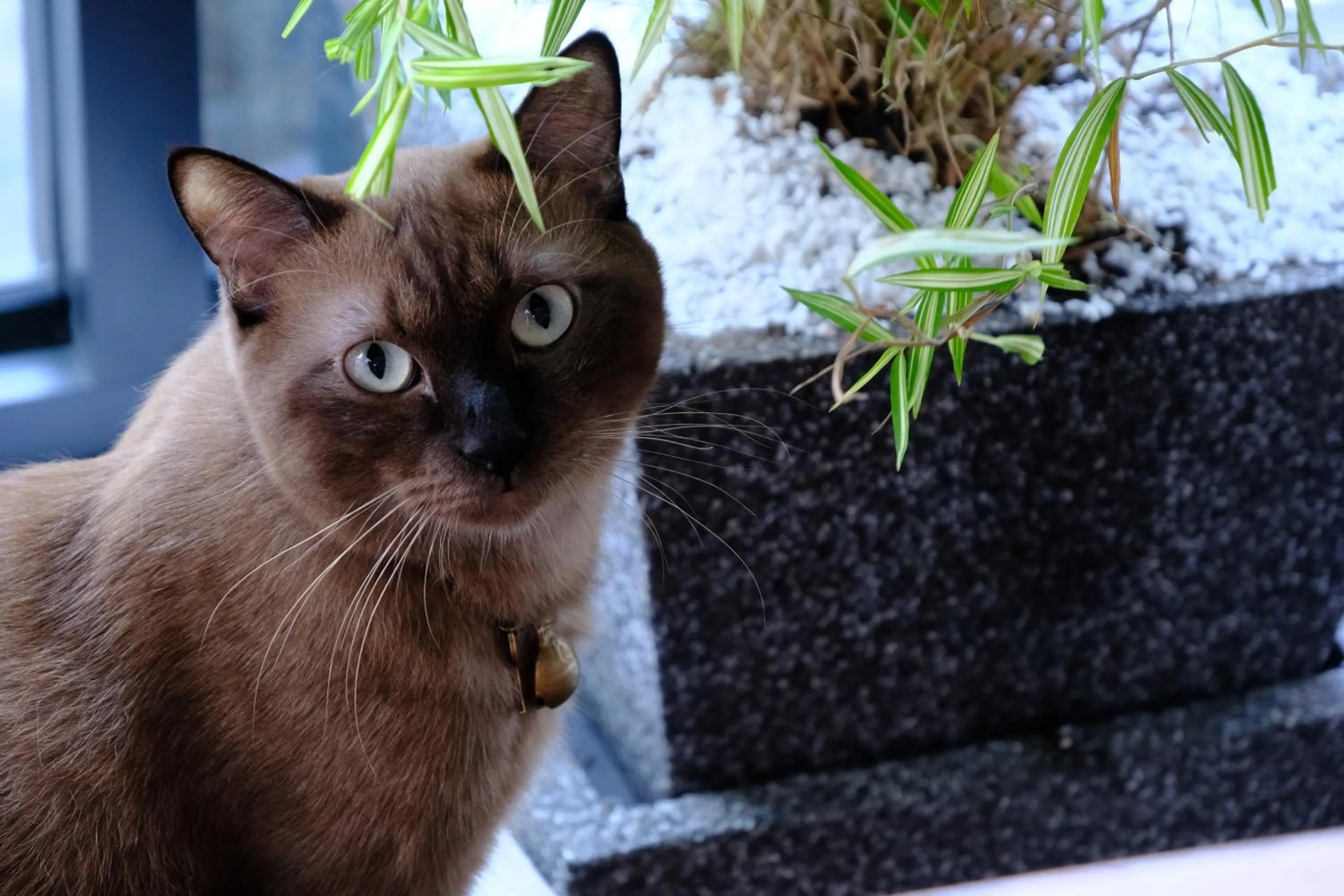 Other in Baan Lung Poshtel