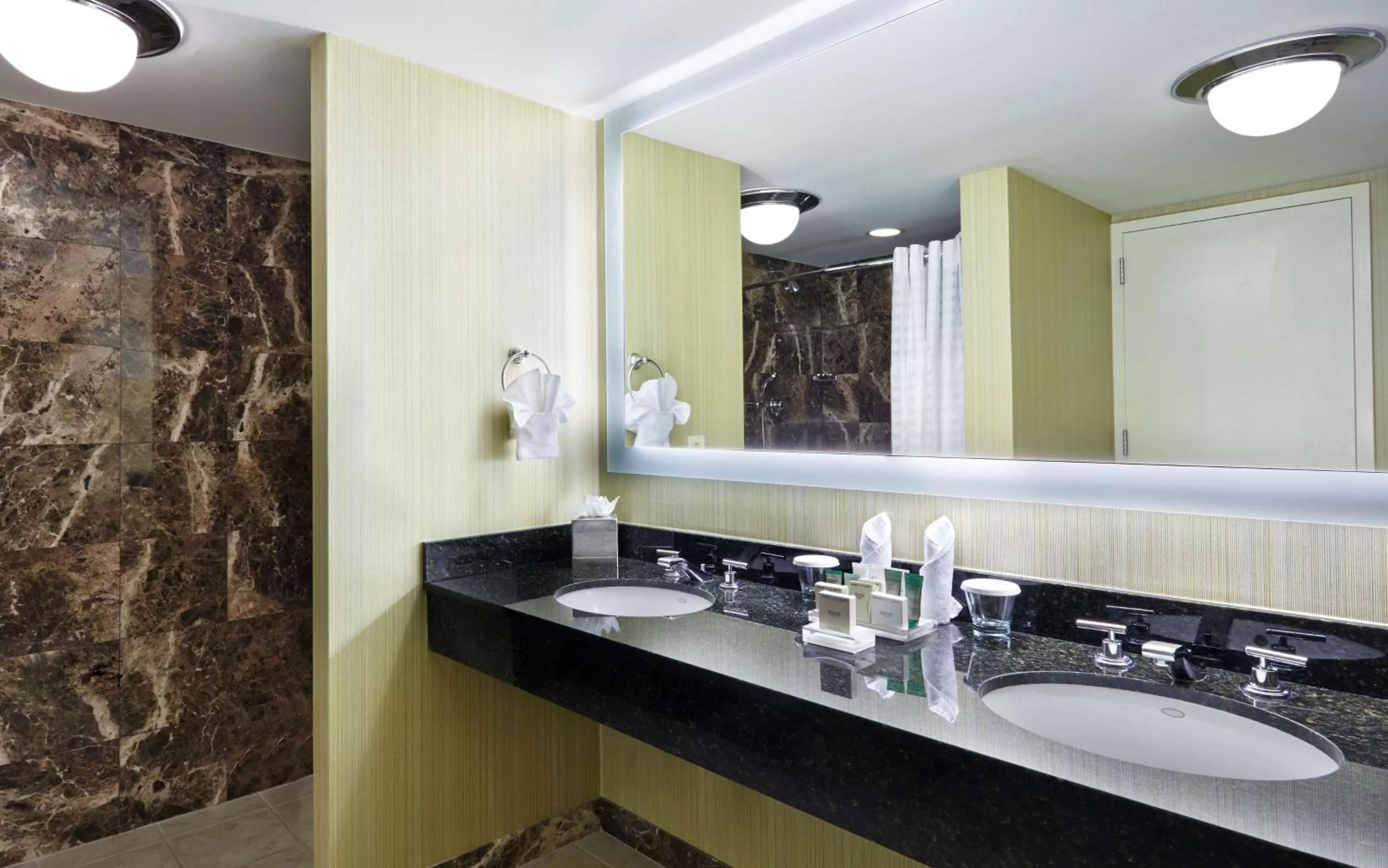 Bathroom in Hilton Newark Airport