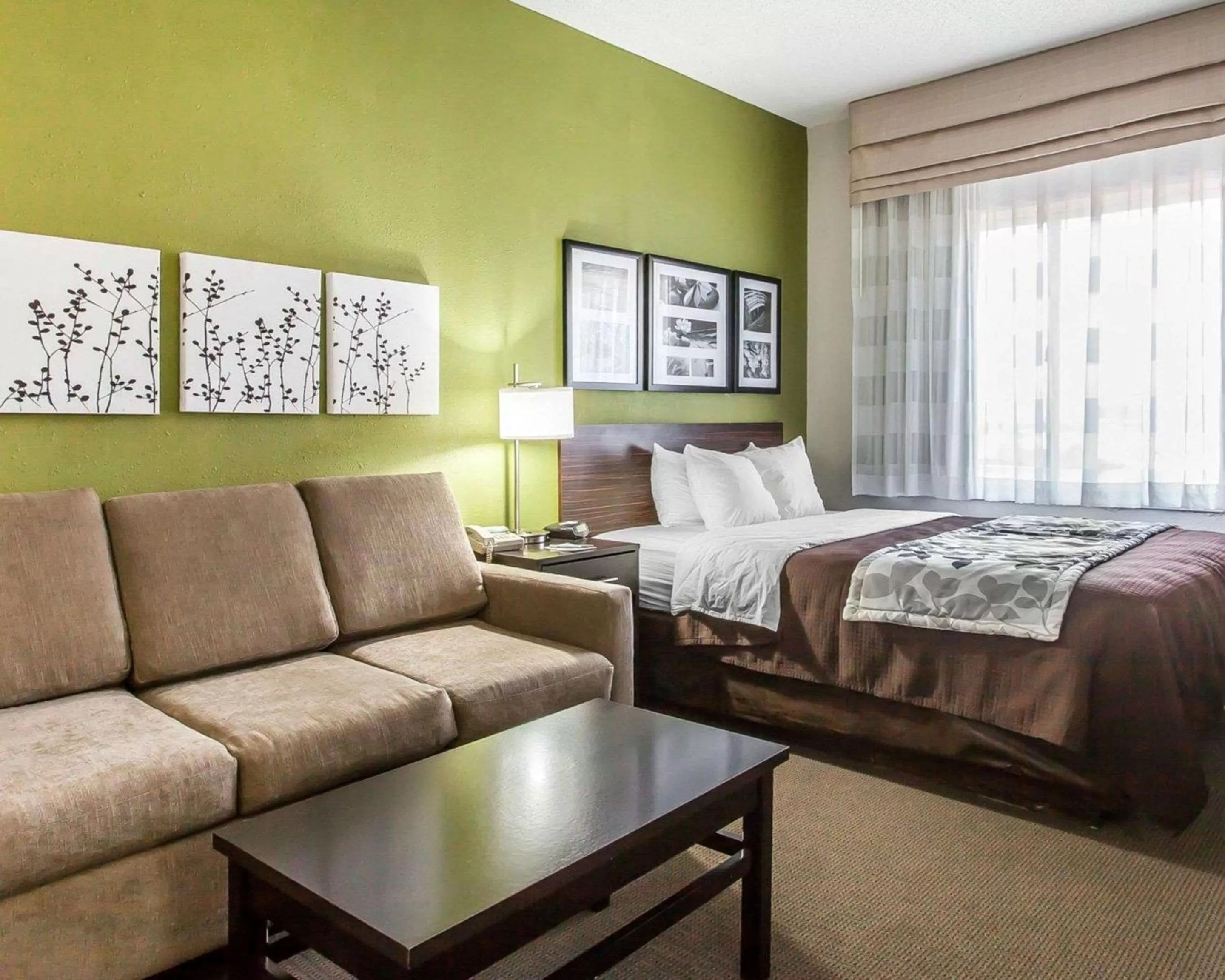 Photo of the whole room, Bed in Sleep Inn & Suites Near I-90 and Ashtabula