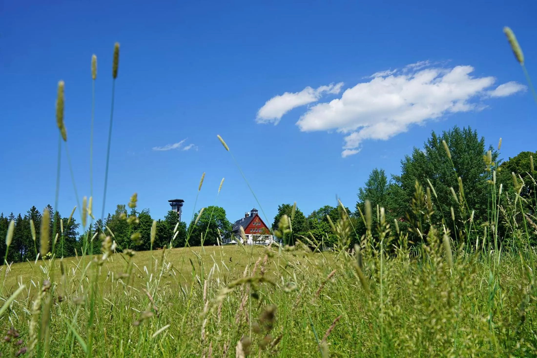 Property building in Hotel und Restaurant Bühlhaus