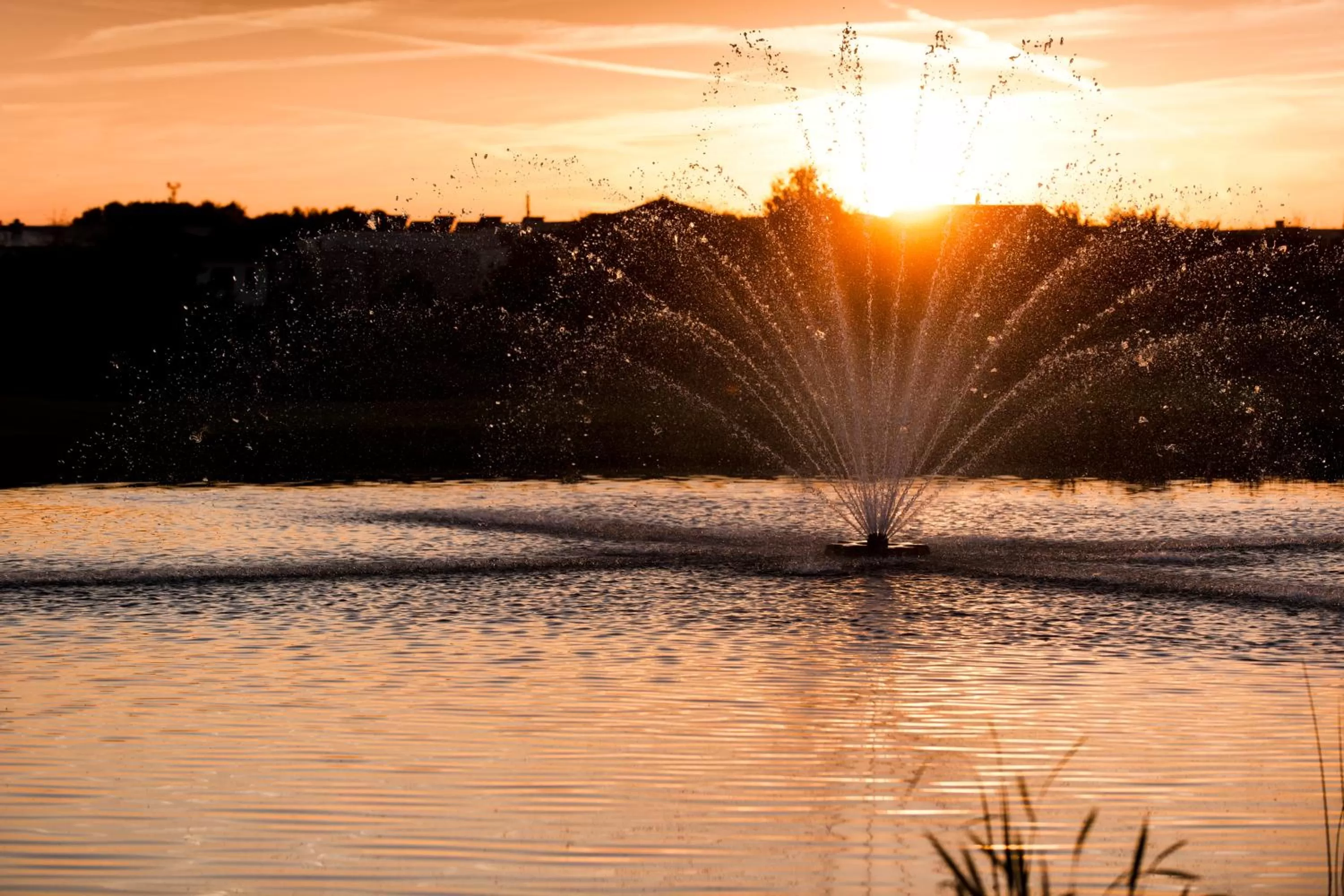 Natural landscape in Hotel TheGreen