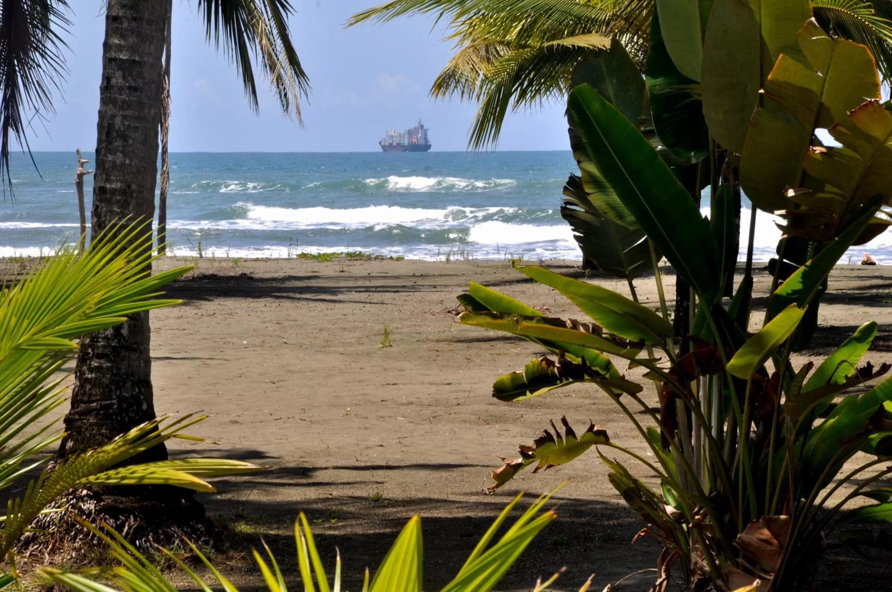 Natural landscape, Beach in Hotel Playa Westfalia