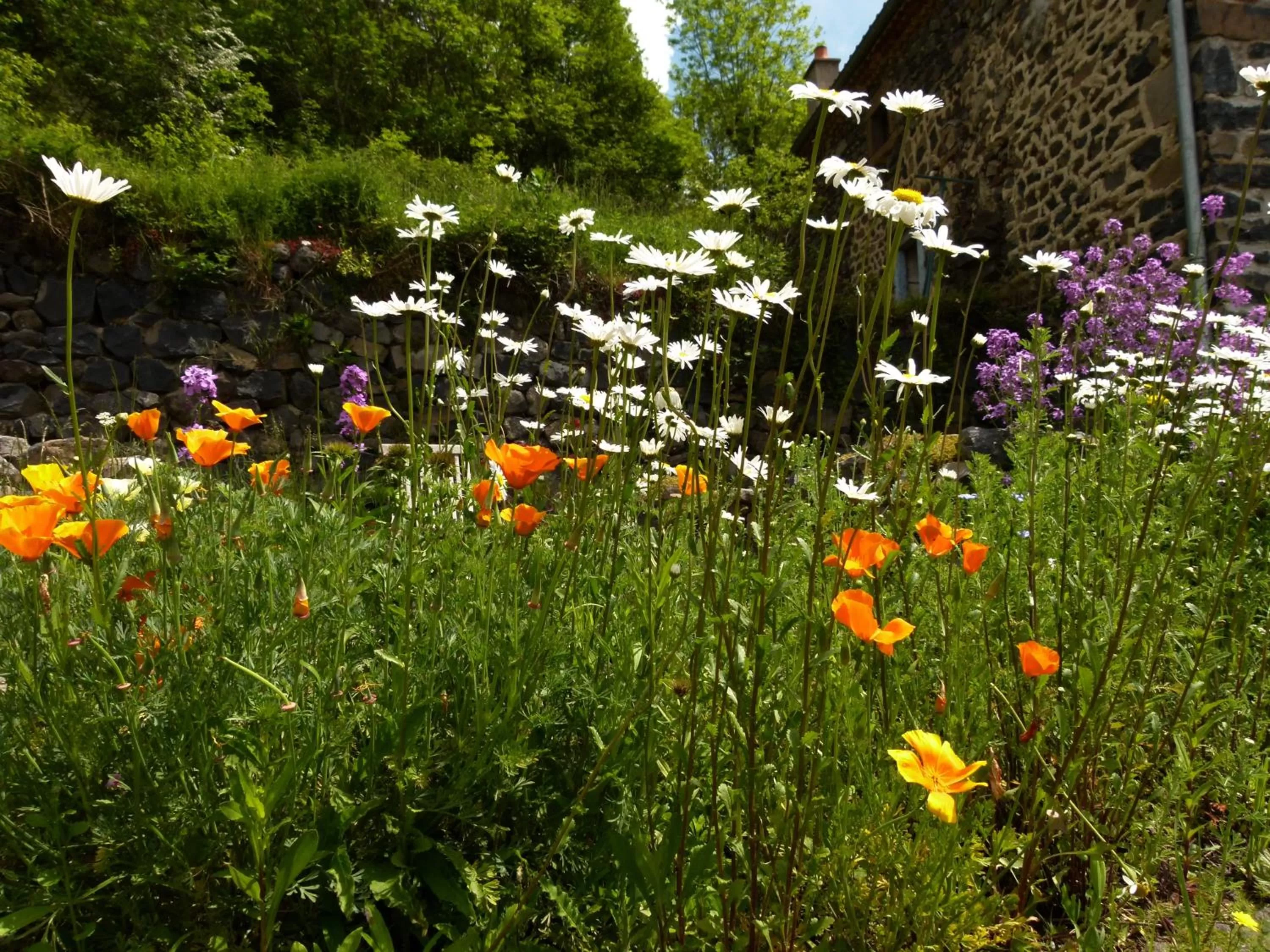 Spring in Art et Création