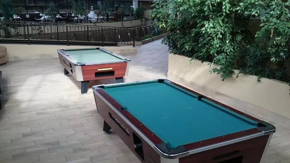 Billiard in Wyndham Garden Detroit Metro Airport