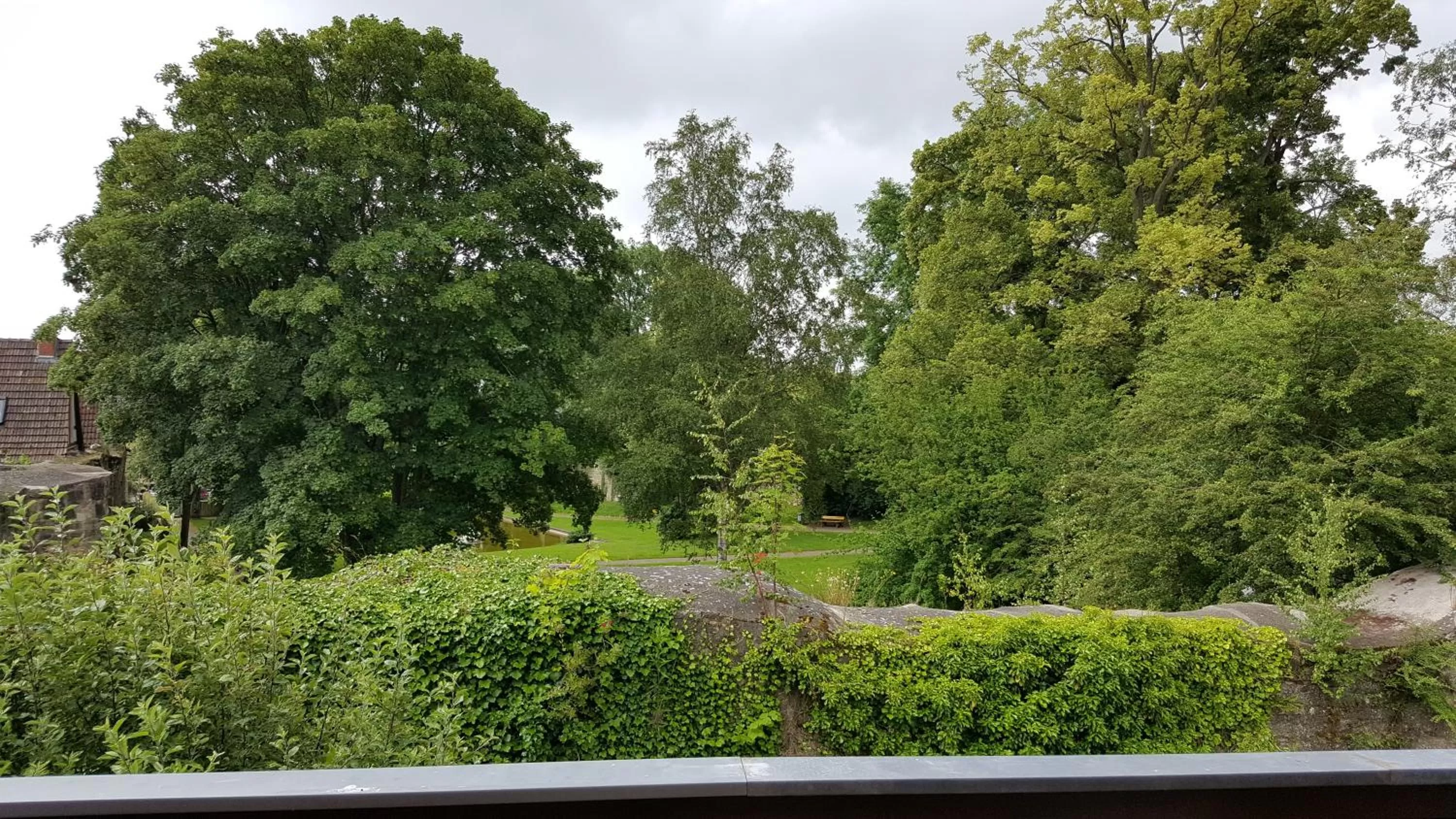 Garden view in Hotel Goldflair am Rathaus