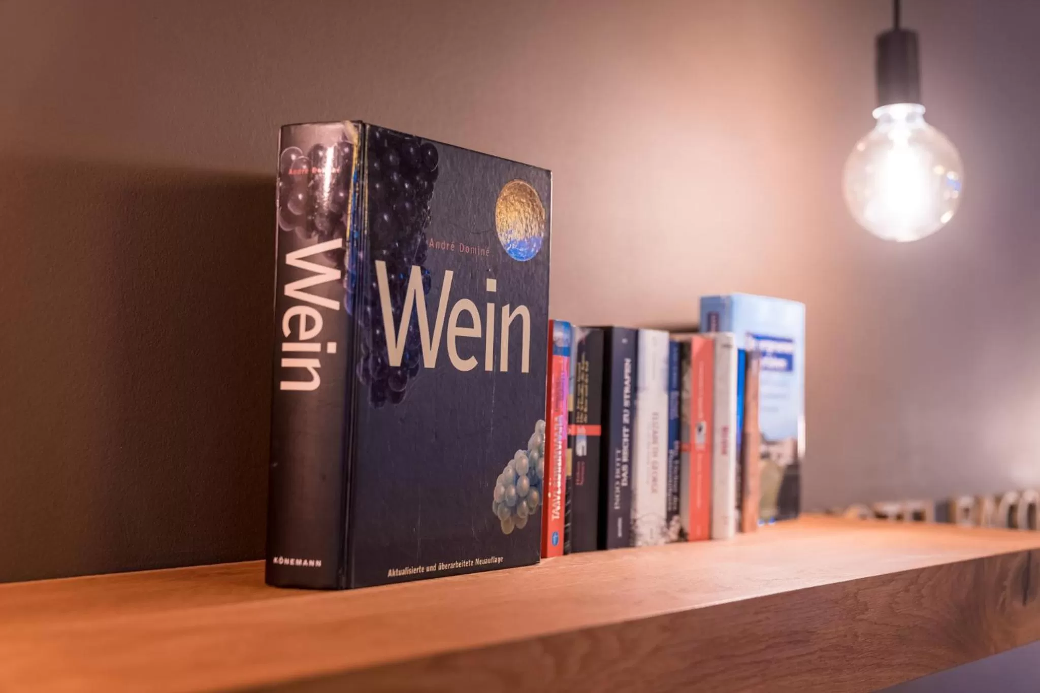 Lobby or reception in Hotel Bacchus