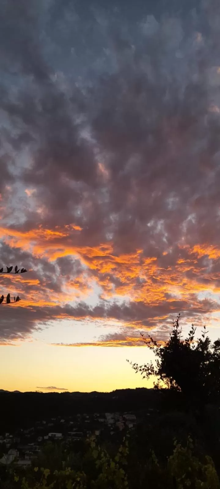 Sunset in In Vino Veritas