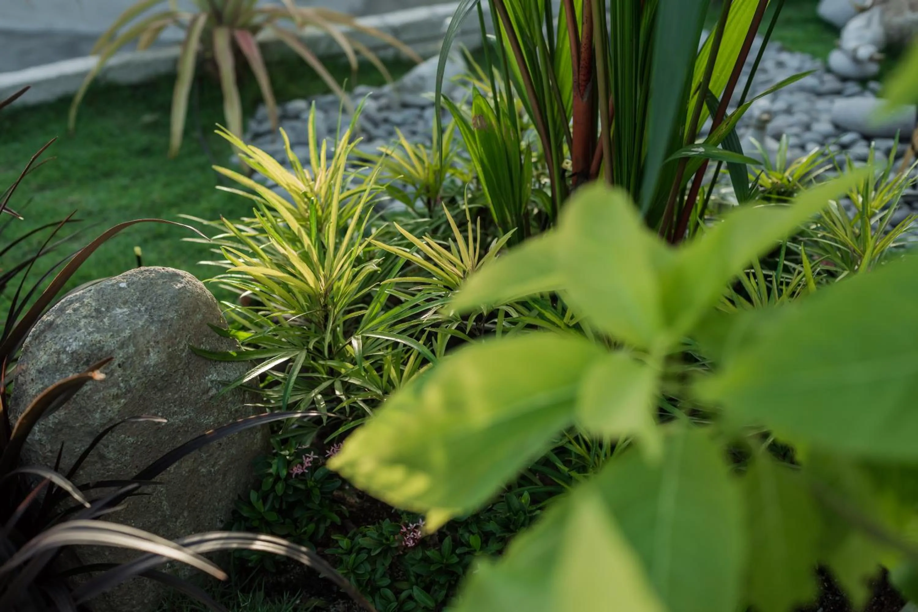 Bunk & Bilik Hotel Jalan Ipoh