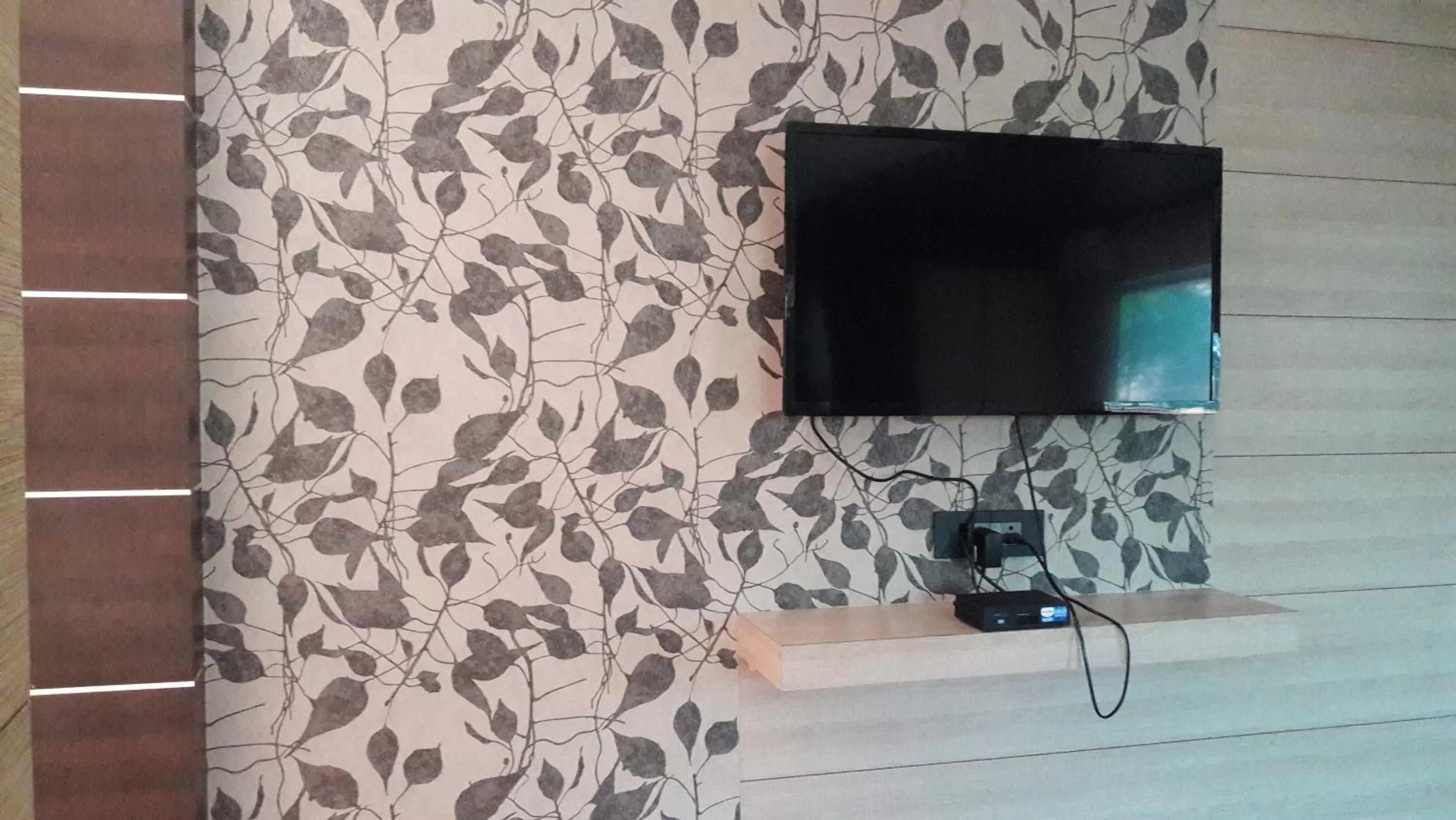 TV and multimedia in Hotel Shreemoyee Inn - Kamakhya Temple