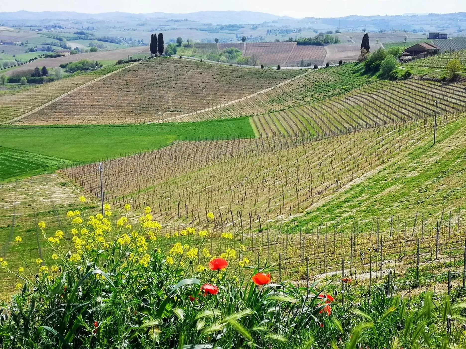 Spring in La Maggiorina