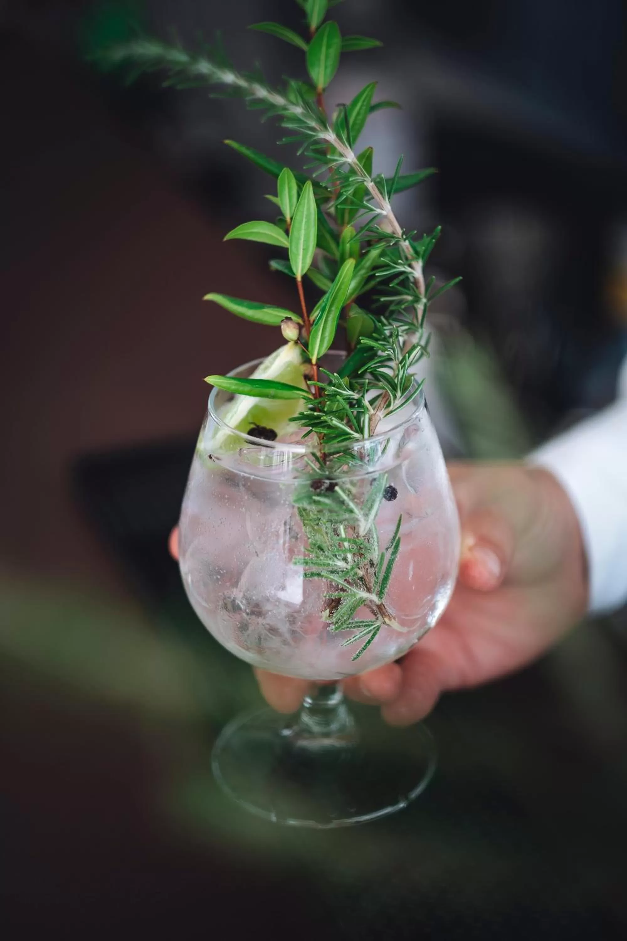 Drinks in Piccolo Hotel - Adults Only