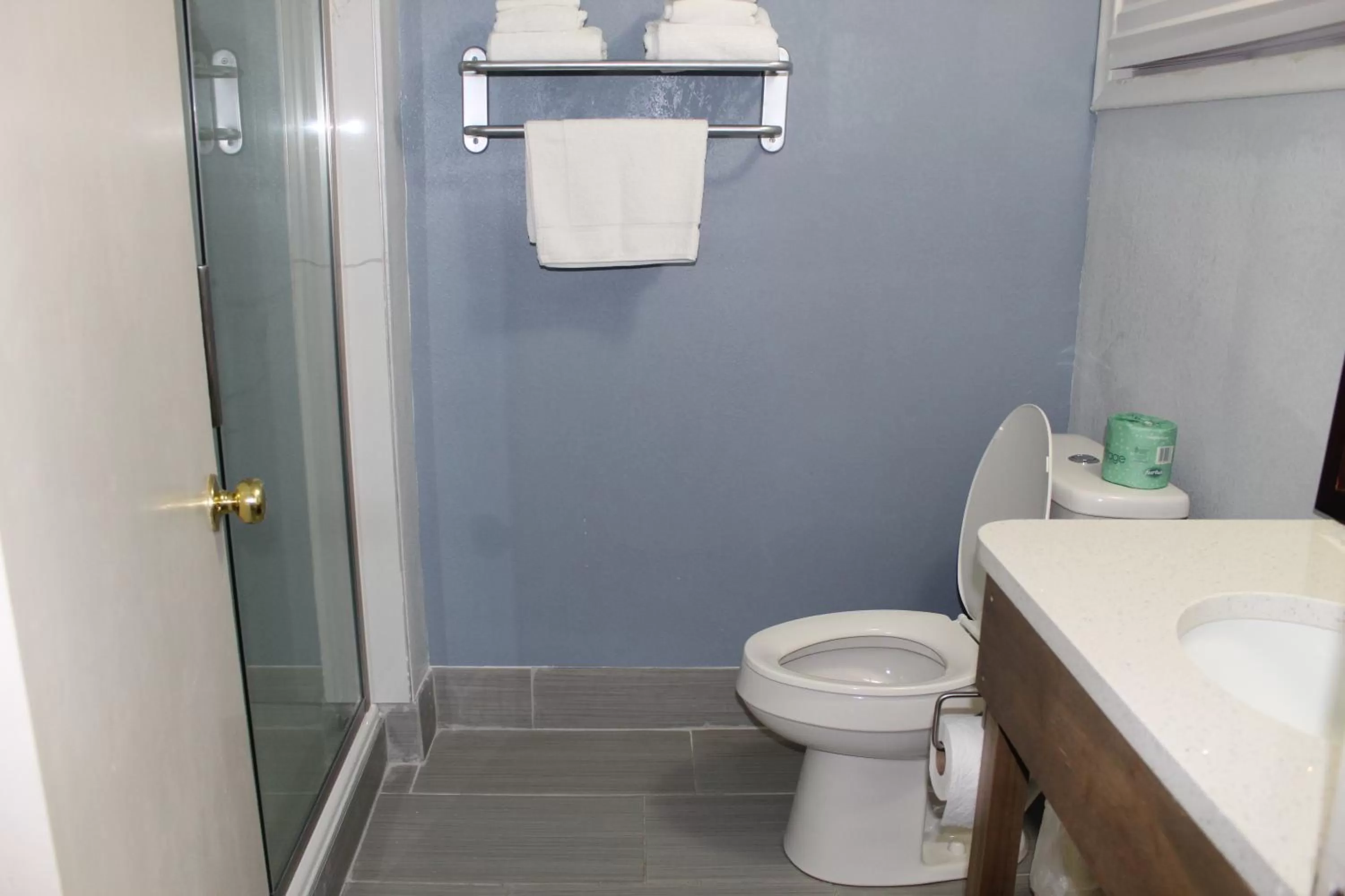 Bathroom in Quality Inn - On The Lake Clarksville-Boydton