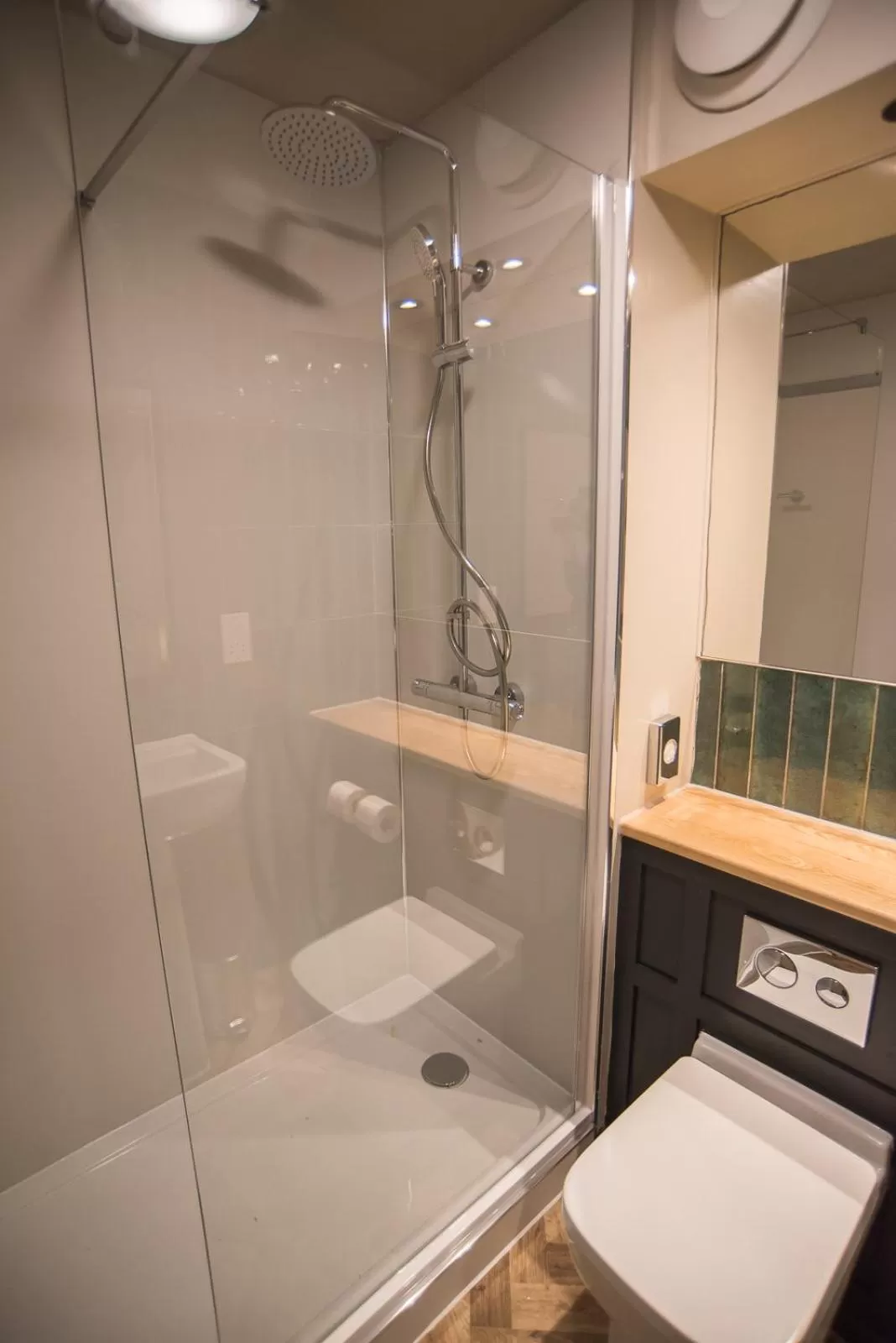 Shower in Cat & Lion Country Pub and Hotel