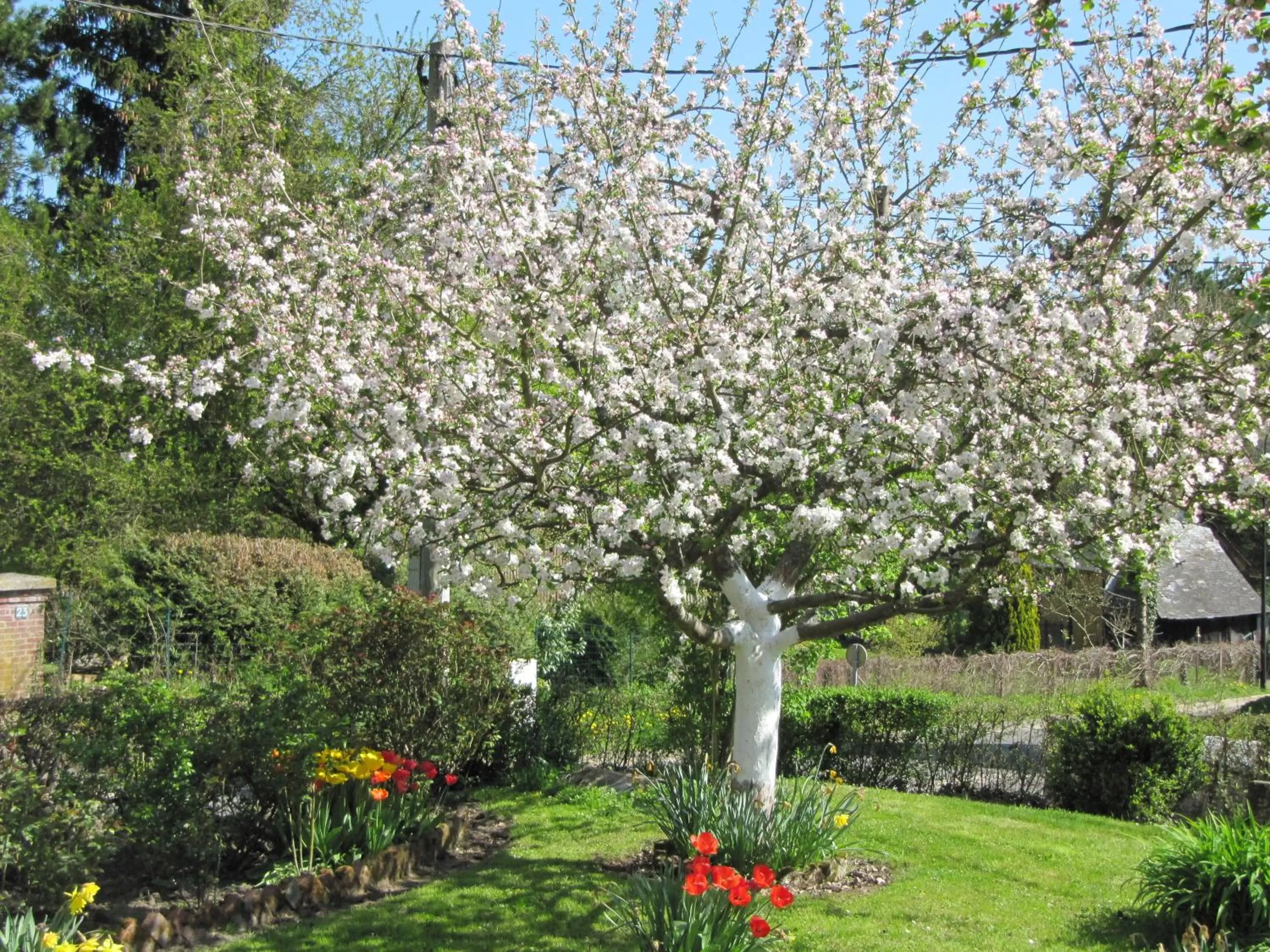 La Roseraie du Prieure