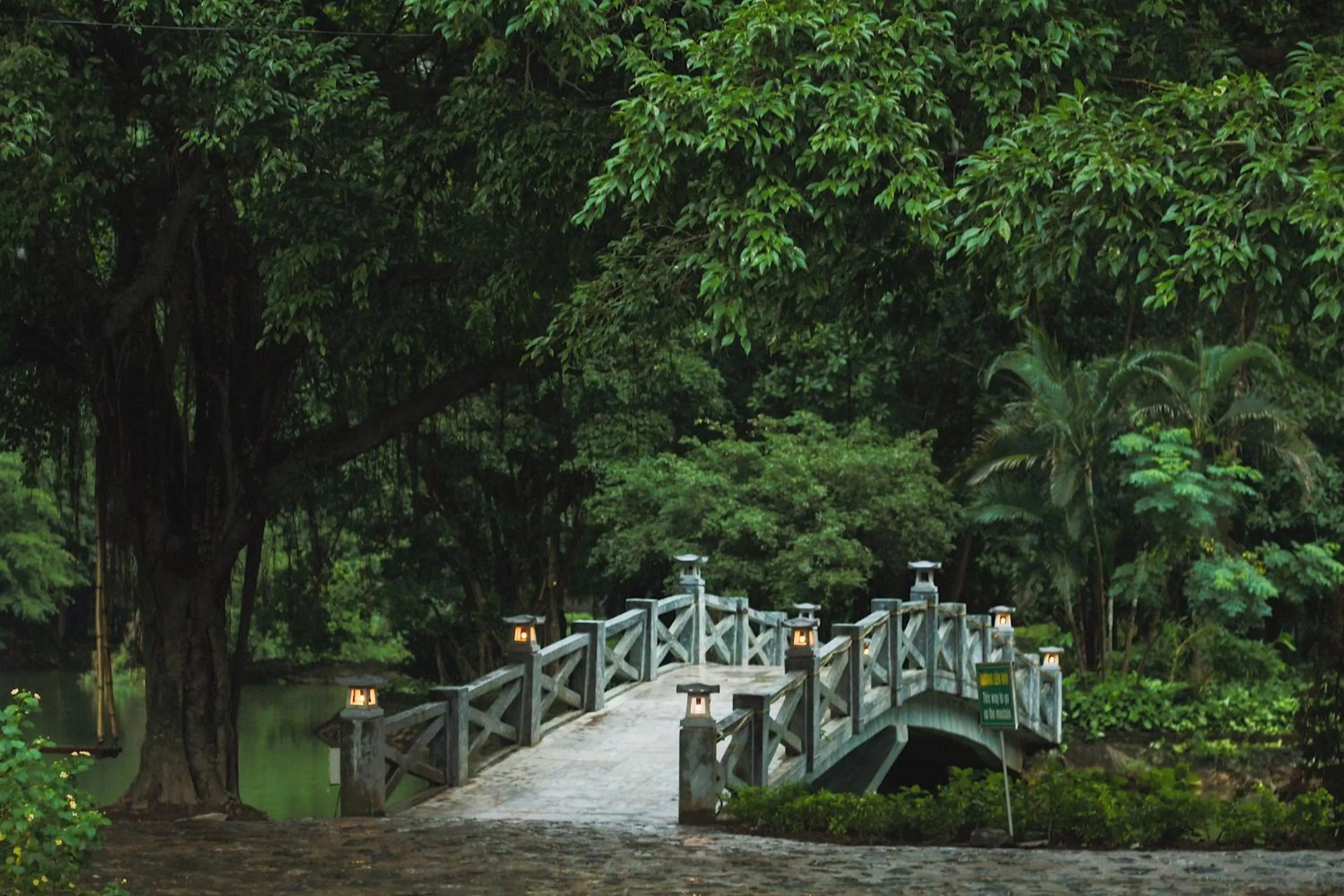 Natural landscape in Mua Caves Ecolodge (Hang Mua)