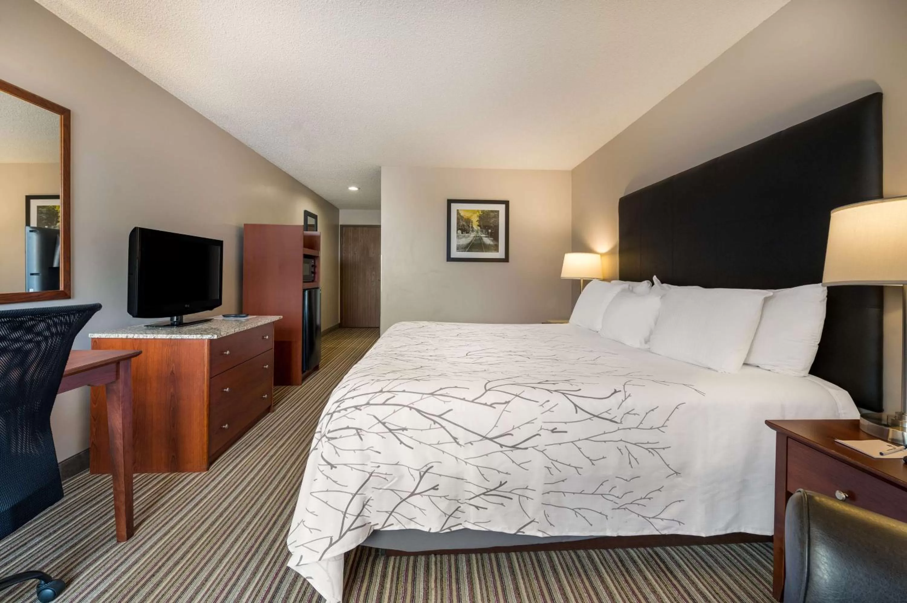 Bedroom, Bed in Best Western Park Oasis Inn