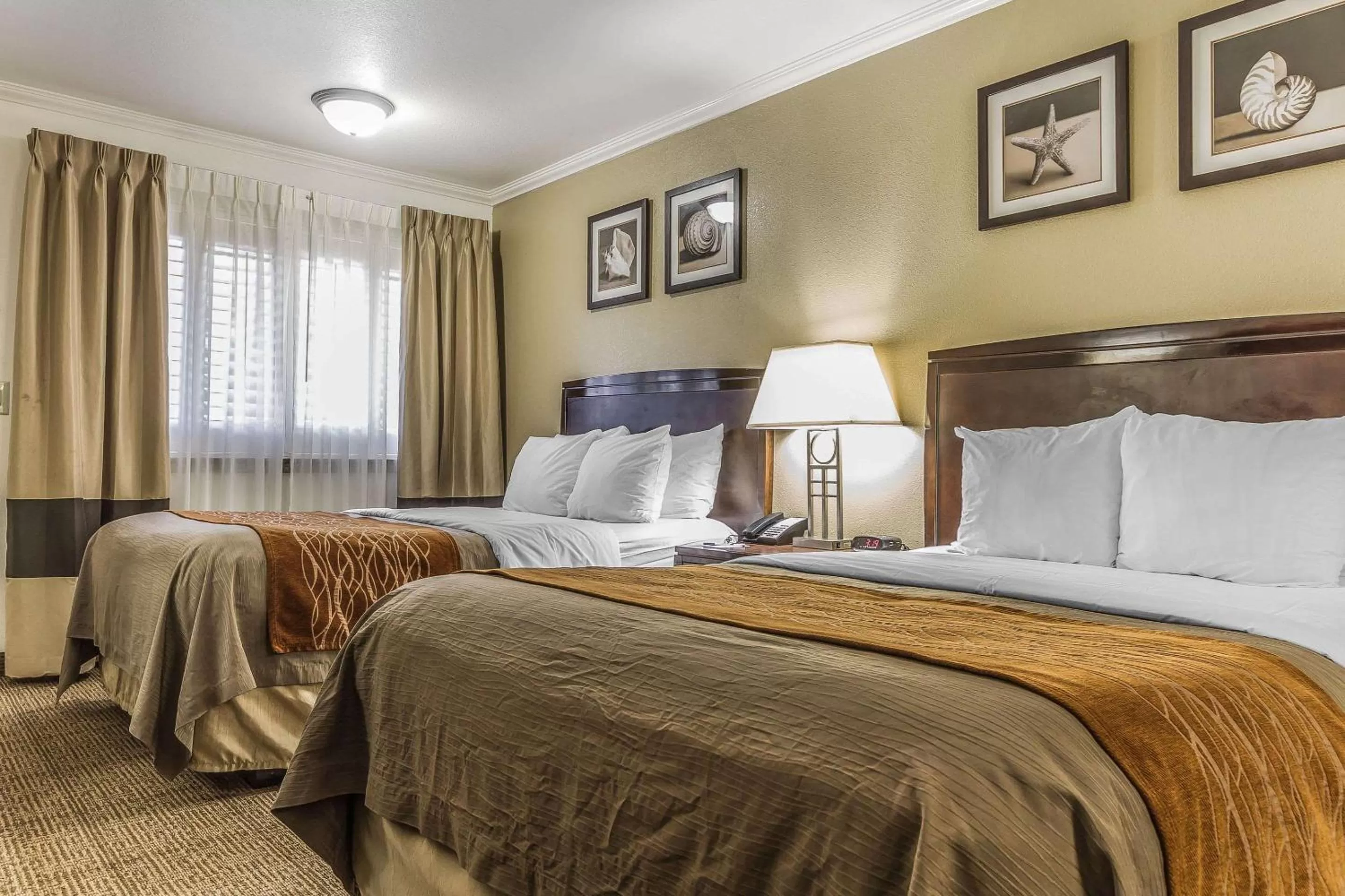 Photo of the whole room, Bed in Comfort Inn