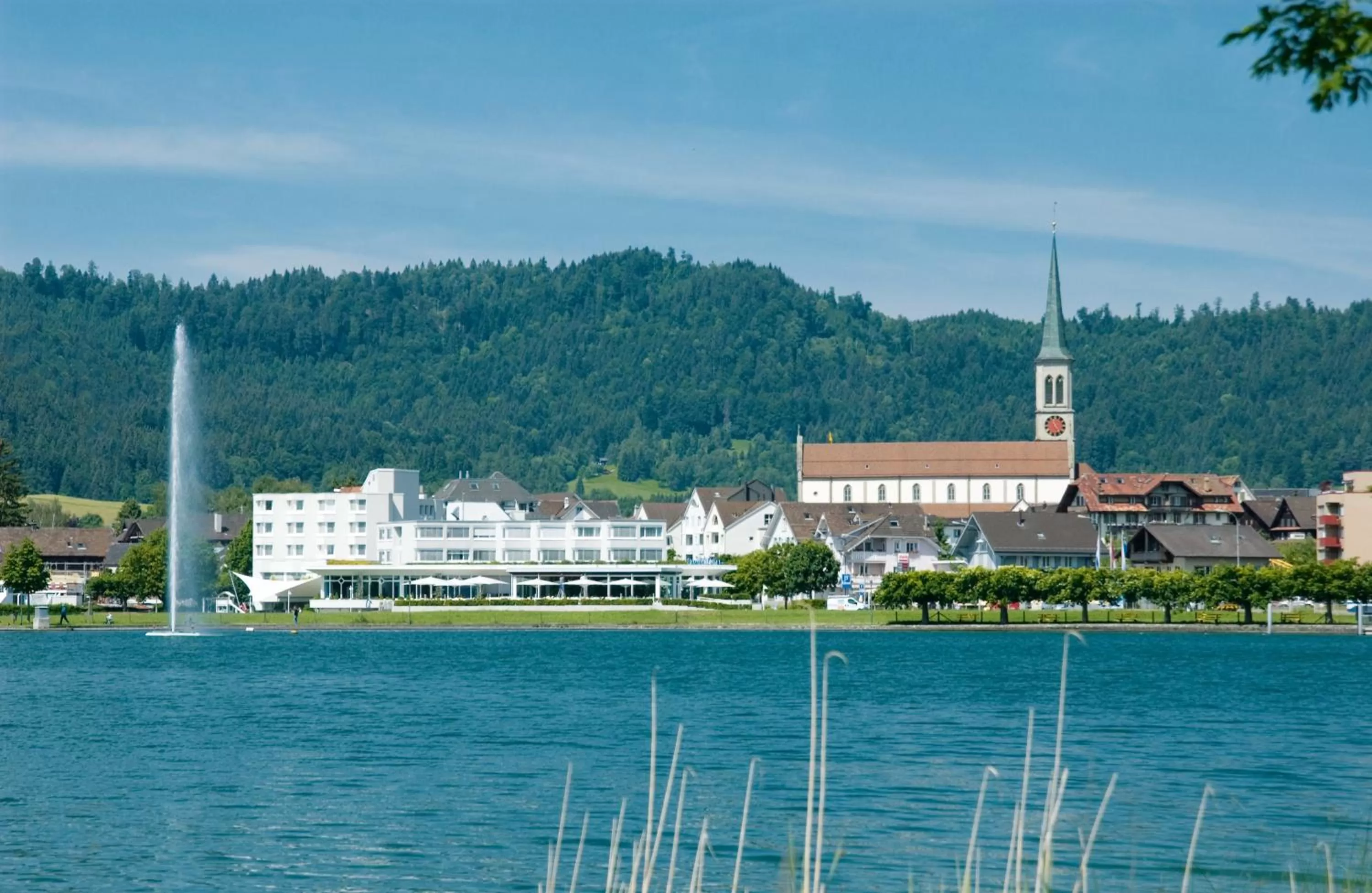 Garden in SeminarHotel am Ägerisee