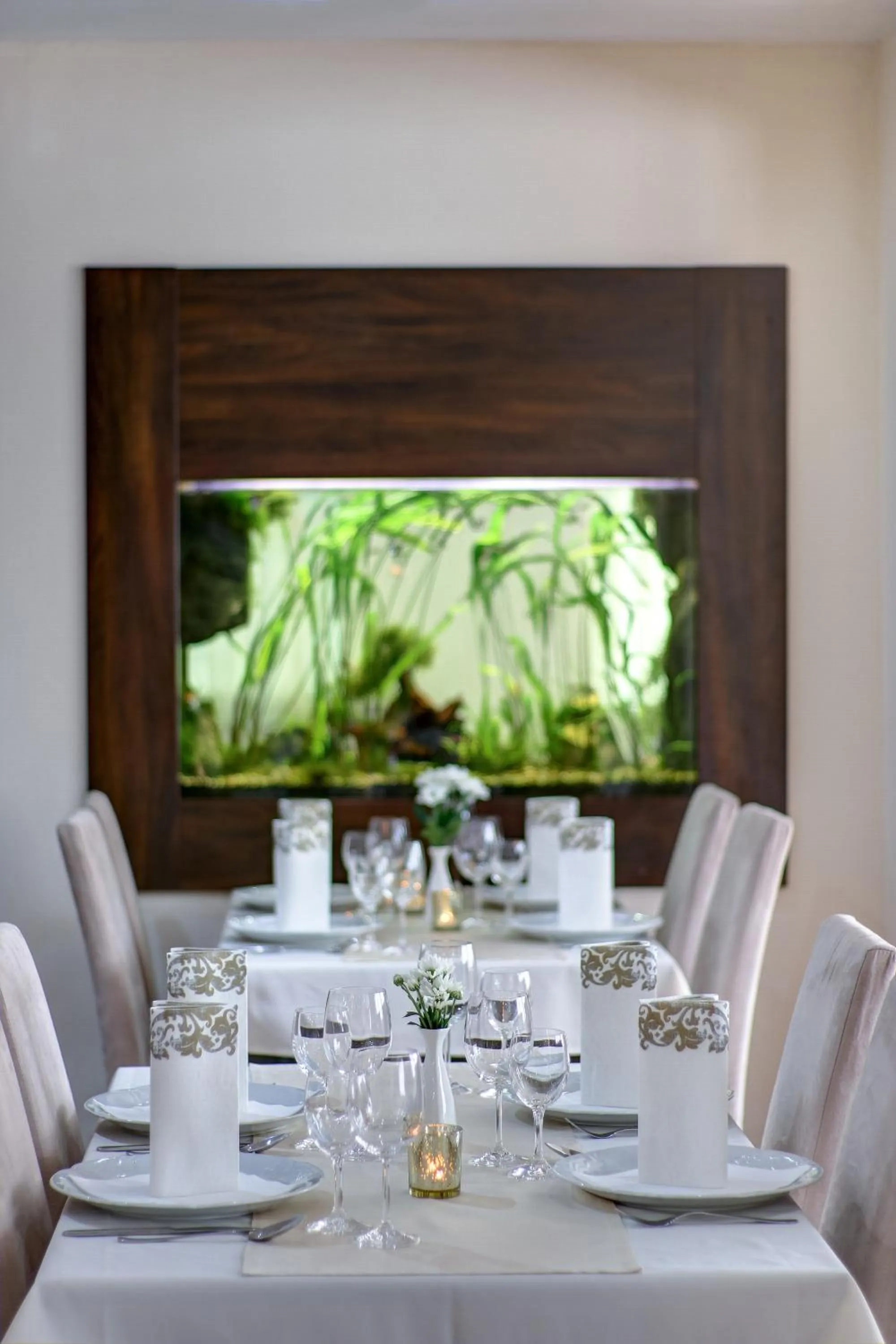 Restaurant/places to eat in Dixon Resort