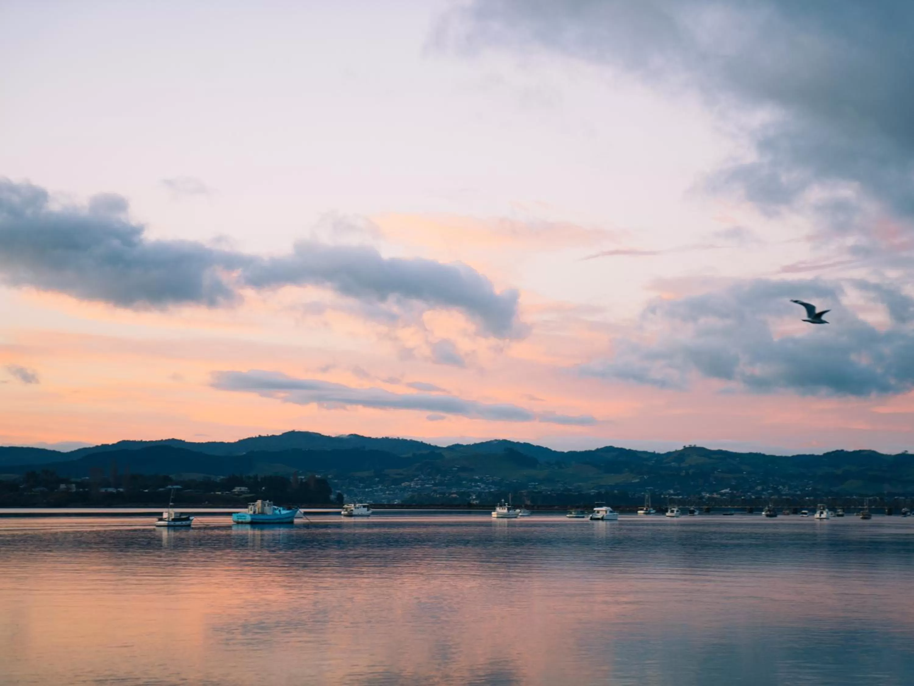 Natural landscape in Trinity Wharf Tauranga