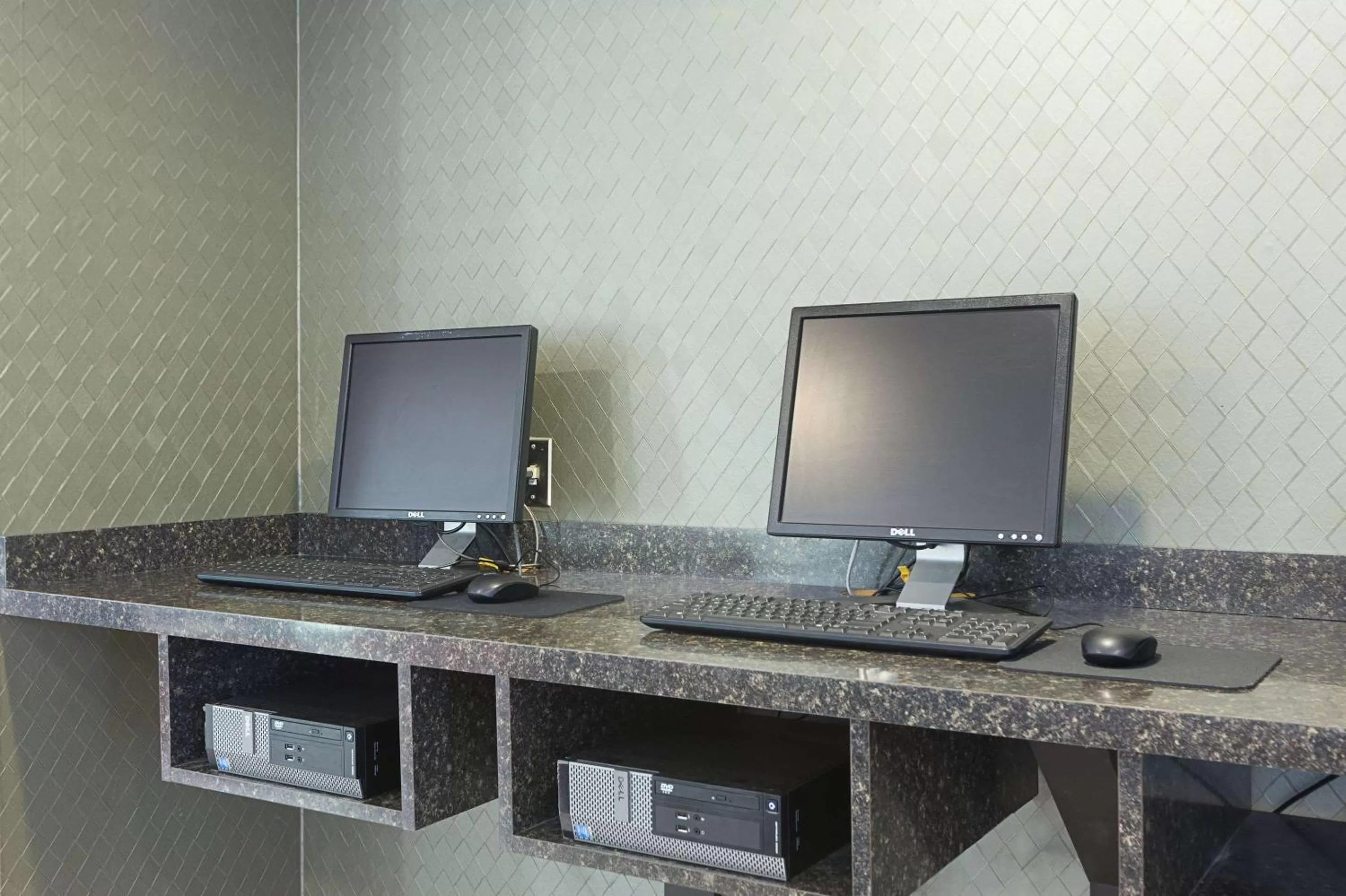 Business facilities in Quality Suites Lansing West