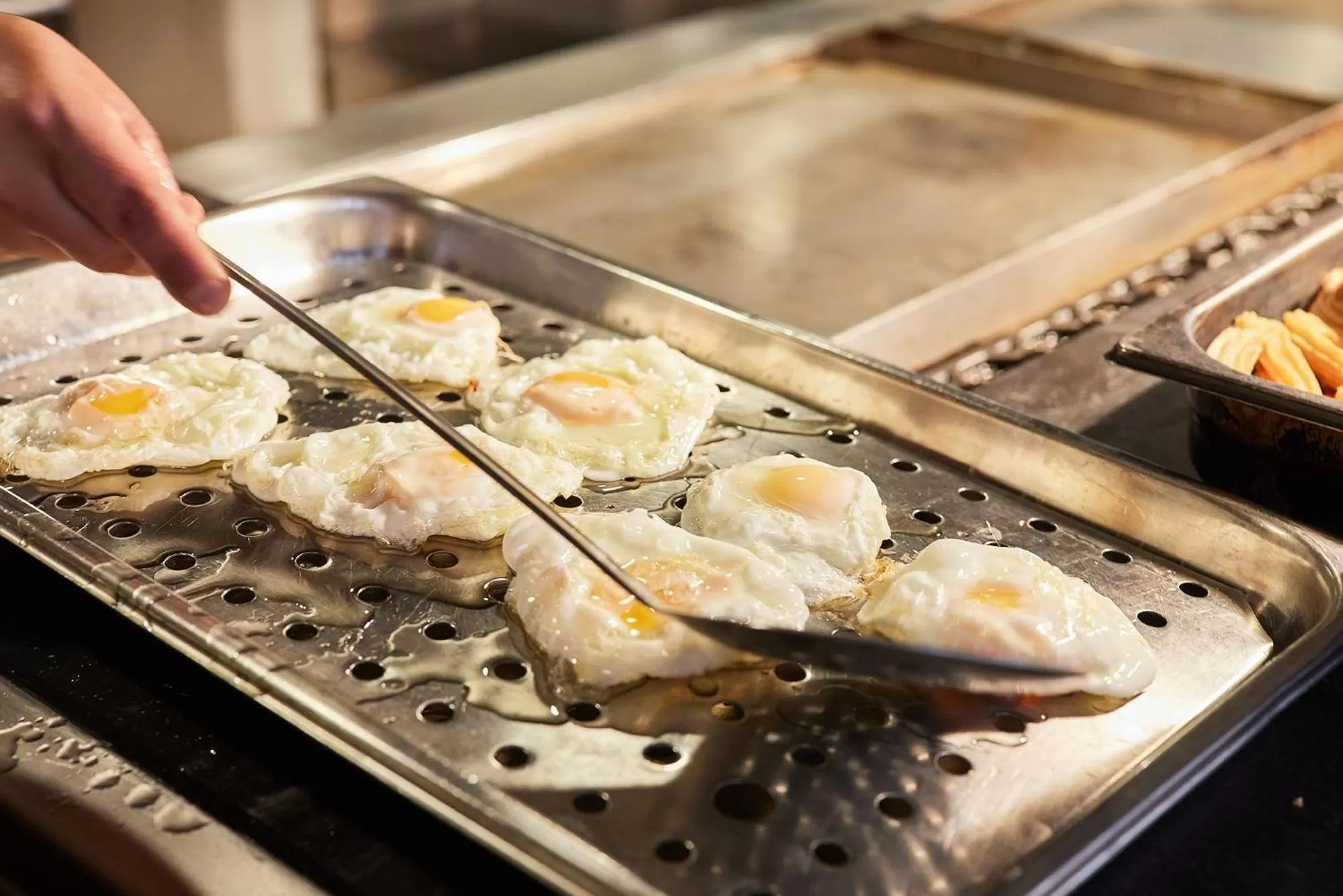 Breakfast, Food in Hotel Bristol 4 Sup