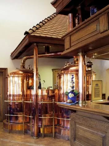 Restaurant/places to eat in Hotel Restaurant Modrá Hvězda