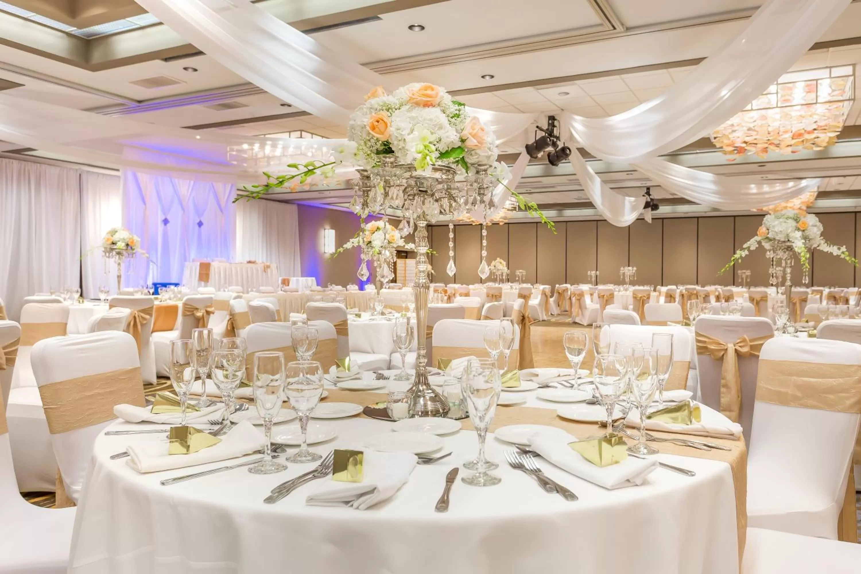 Meeting/conference room in Crowne Plaza Hotel Foster City-San Mateo by IHG