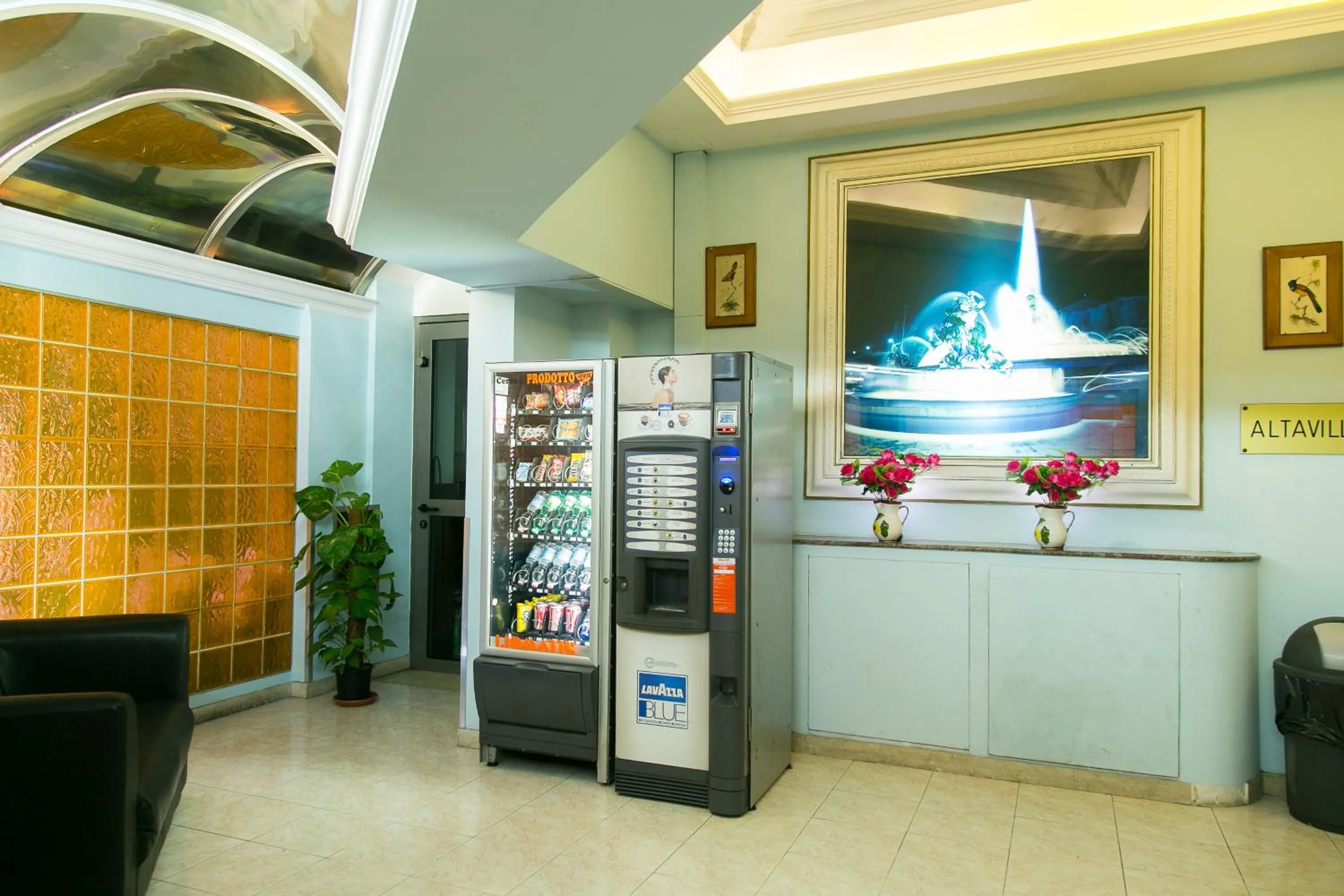 Area and facilities in Hotel Altavilla 9