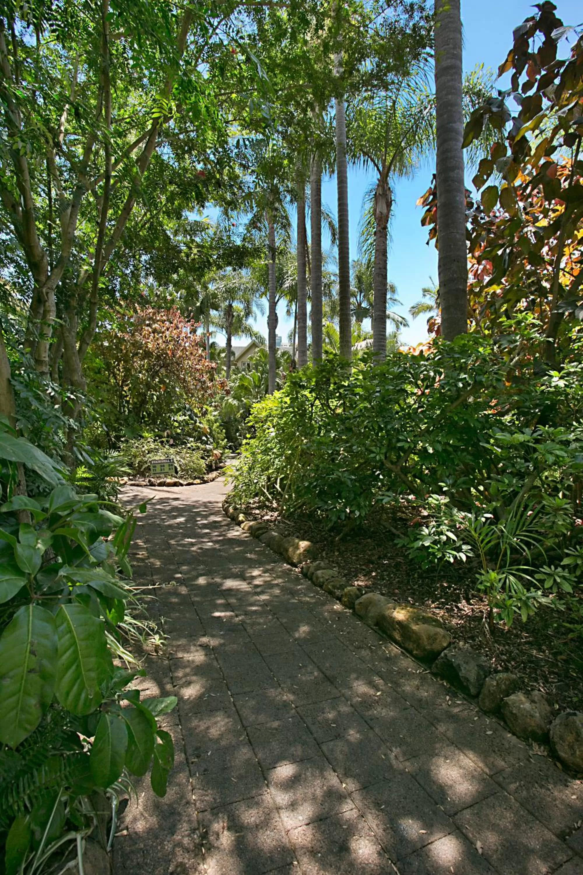 Garden in Mari Court Resort