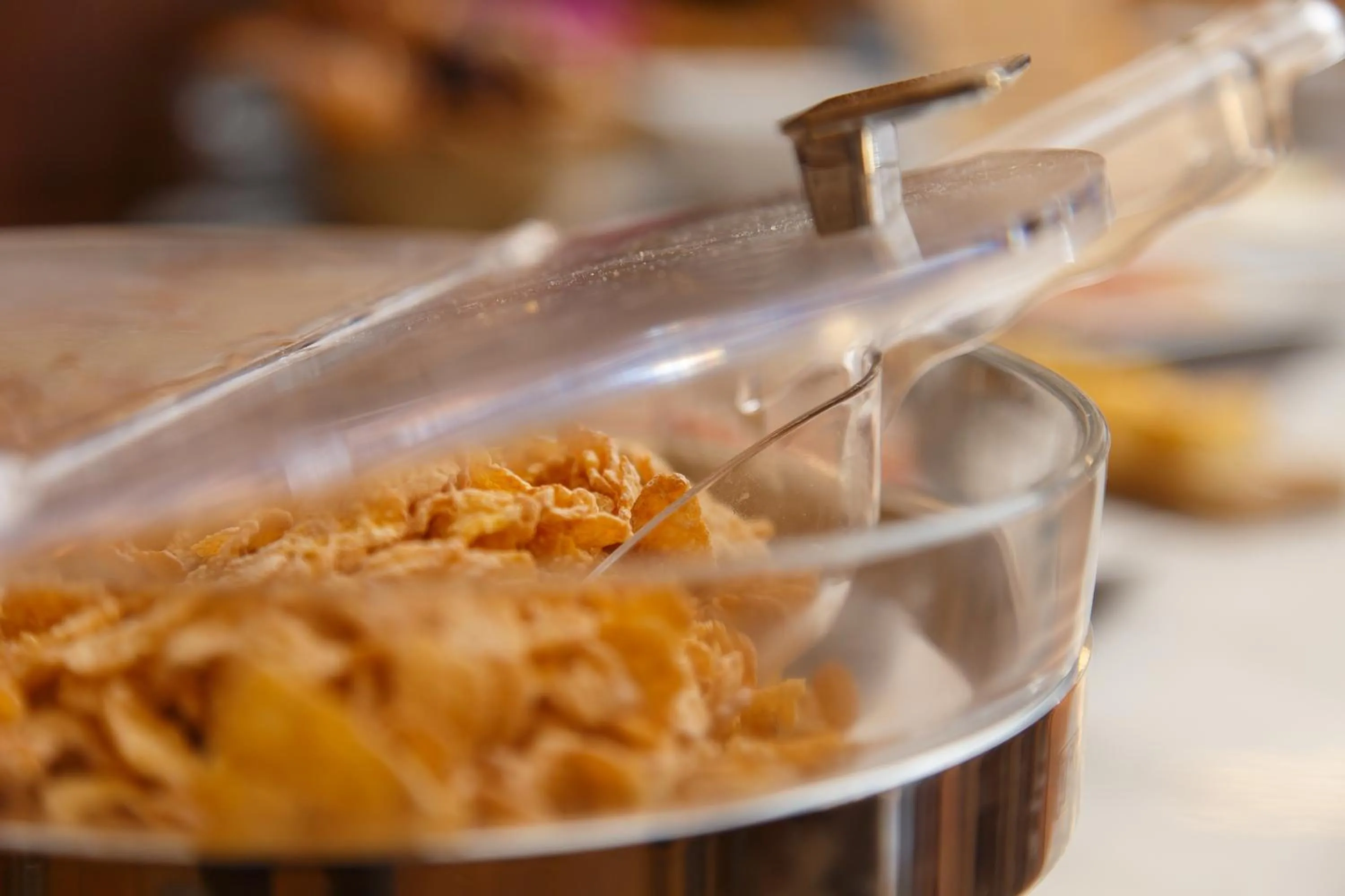 Food in La Orza de Angel